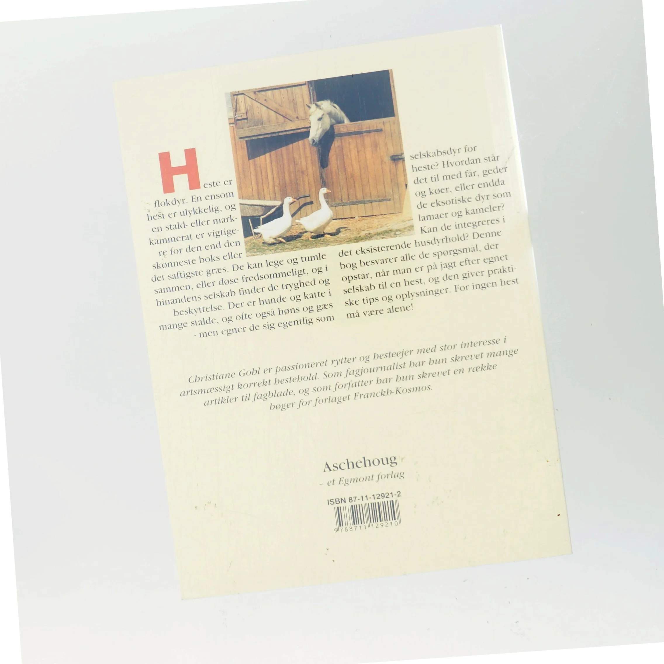 Min hest skal ikke være alene af Christiane Gohl (Bog)