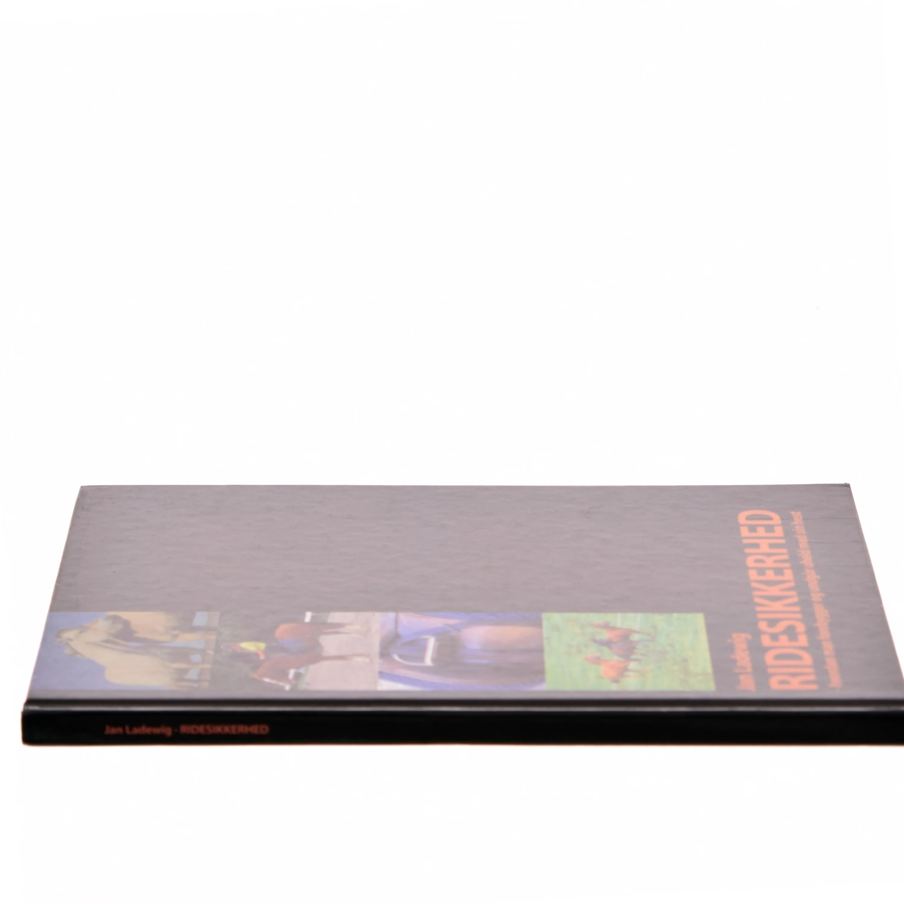 Ridesikkerhed af Jan Ladewig (Bog)