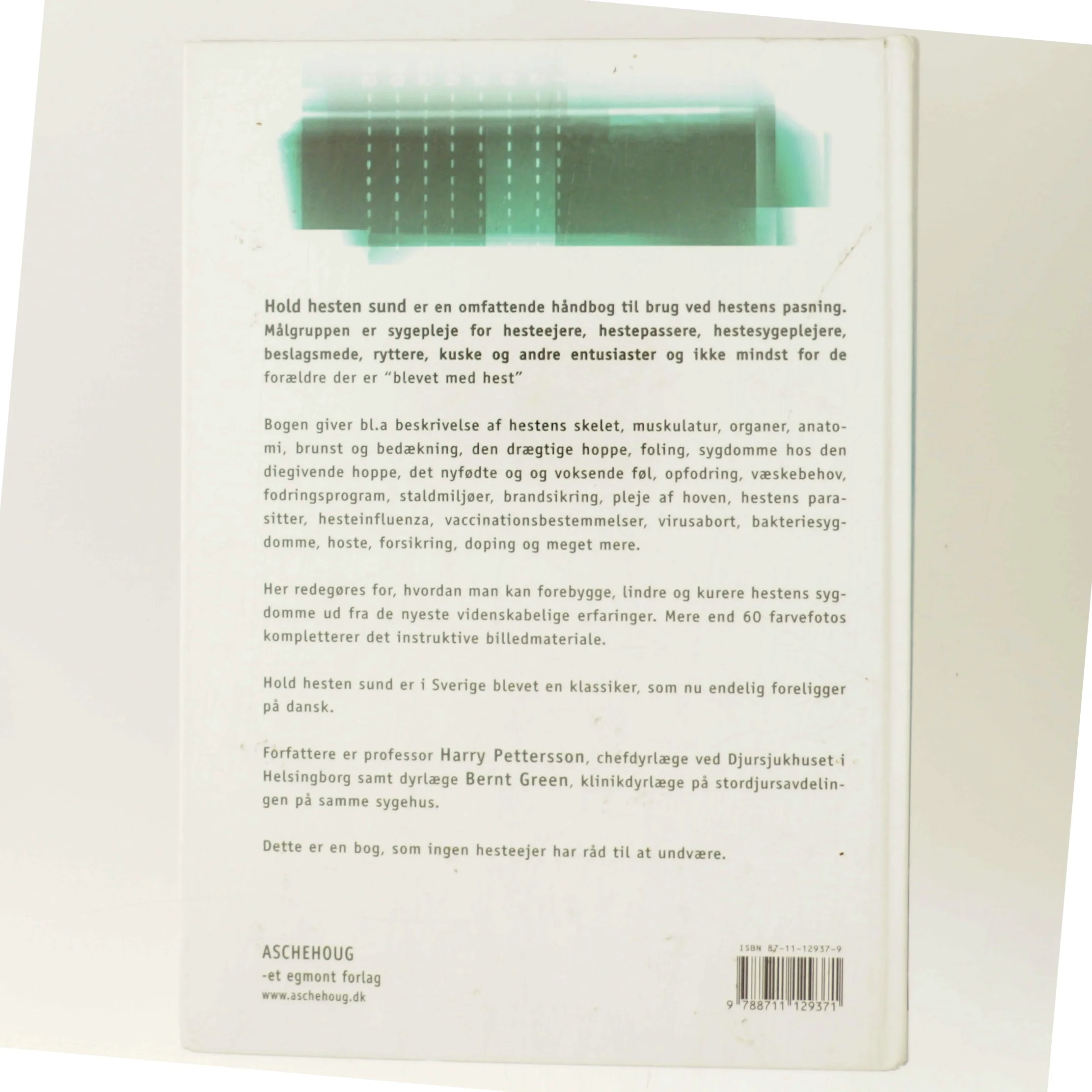 Hold hesten sund : om at behandle og forebygge sygdomme (Bog)