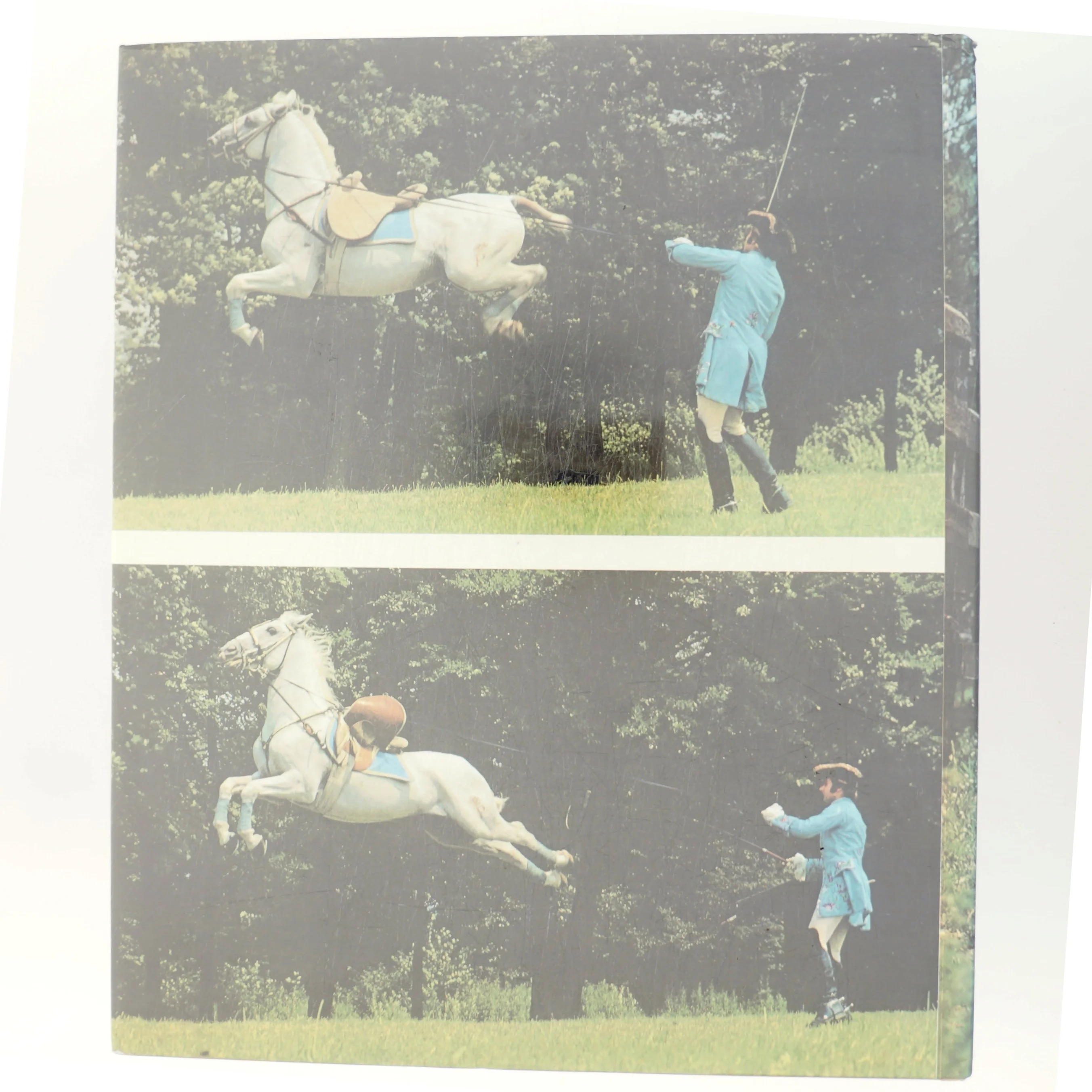 Hestens forunderlige verden (Bog)