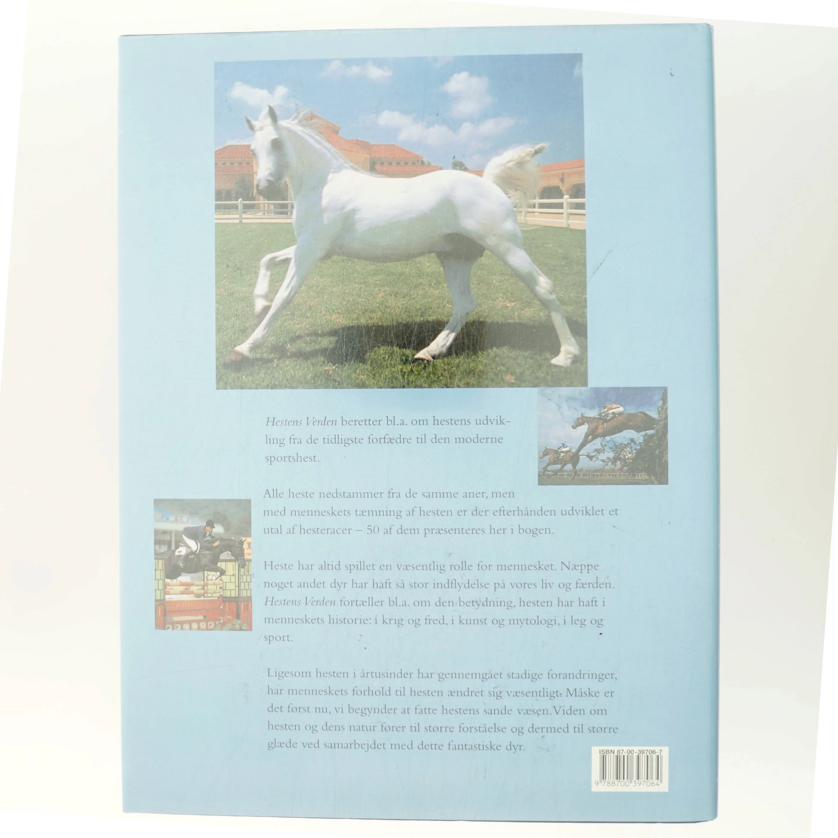 Hestens verden af <Bog ikke angivet> (Bog)