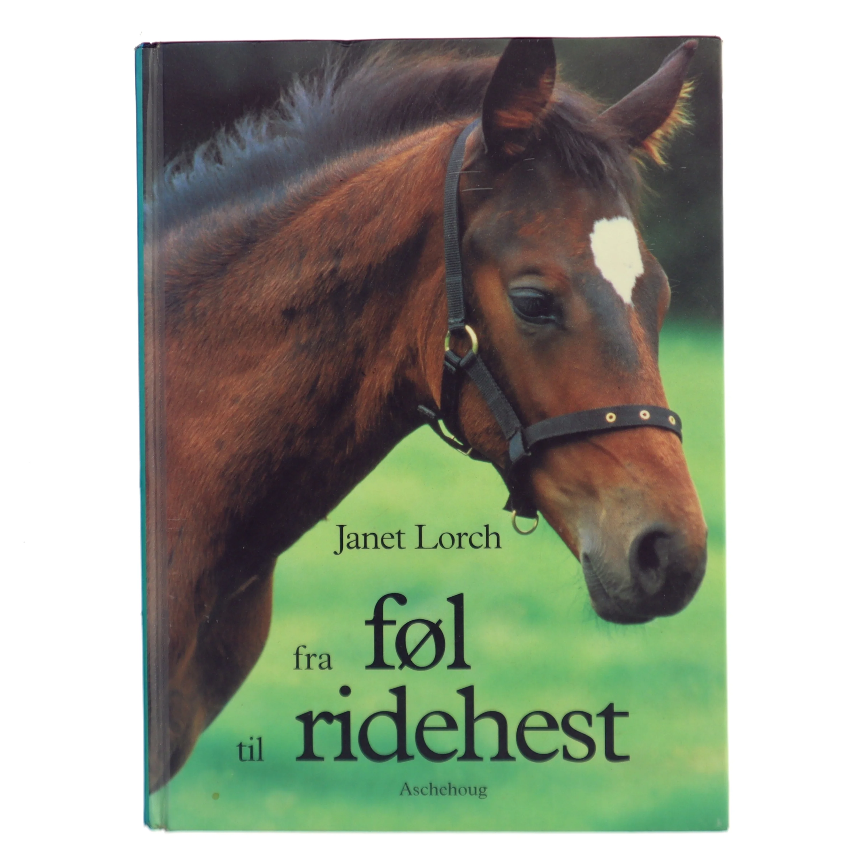 Fra føl til ridehest af Janet Lorch (Bog)