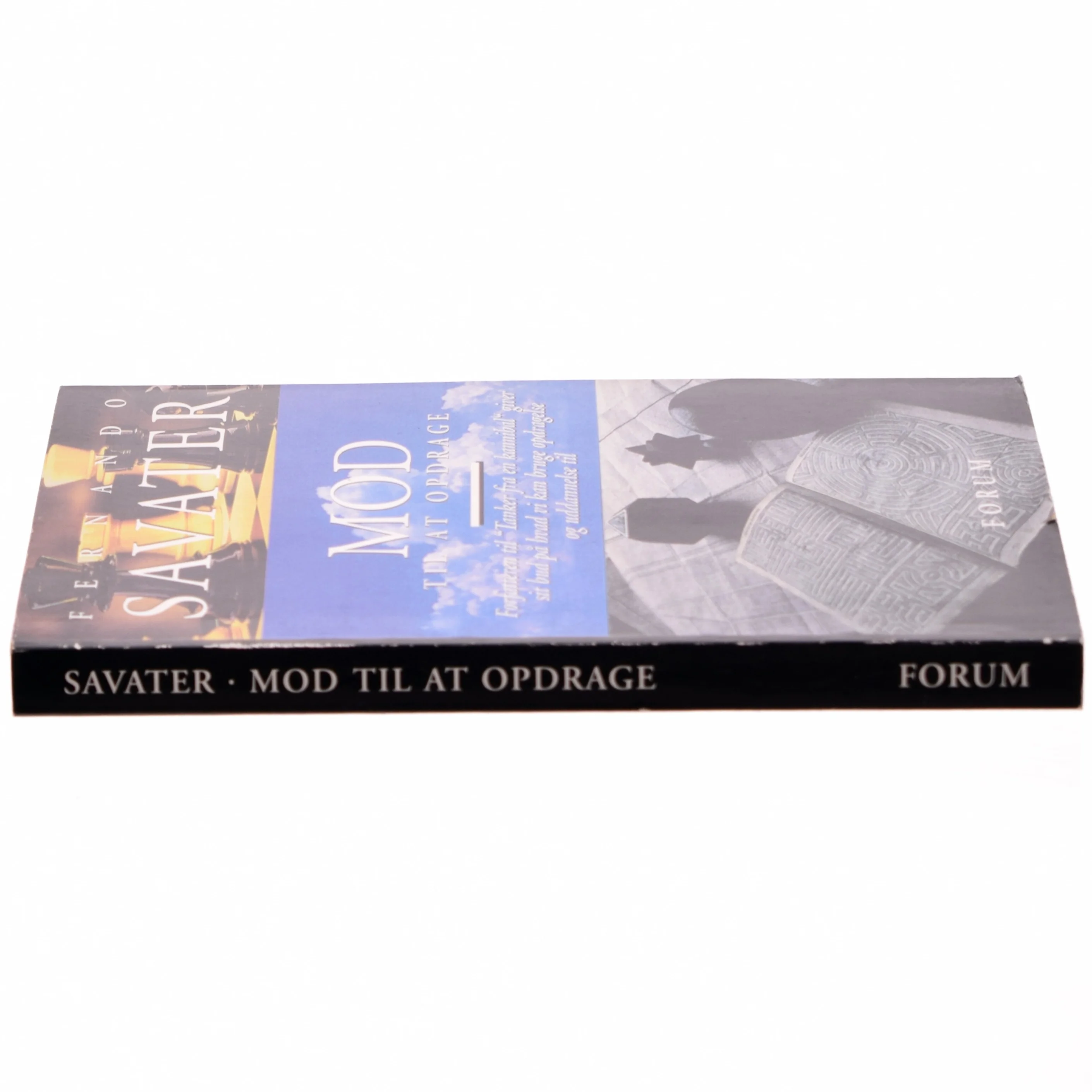 Mod til at opdrage af Fernando Savater (Bog)