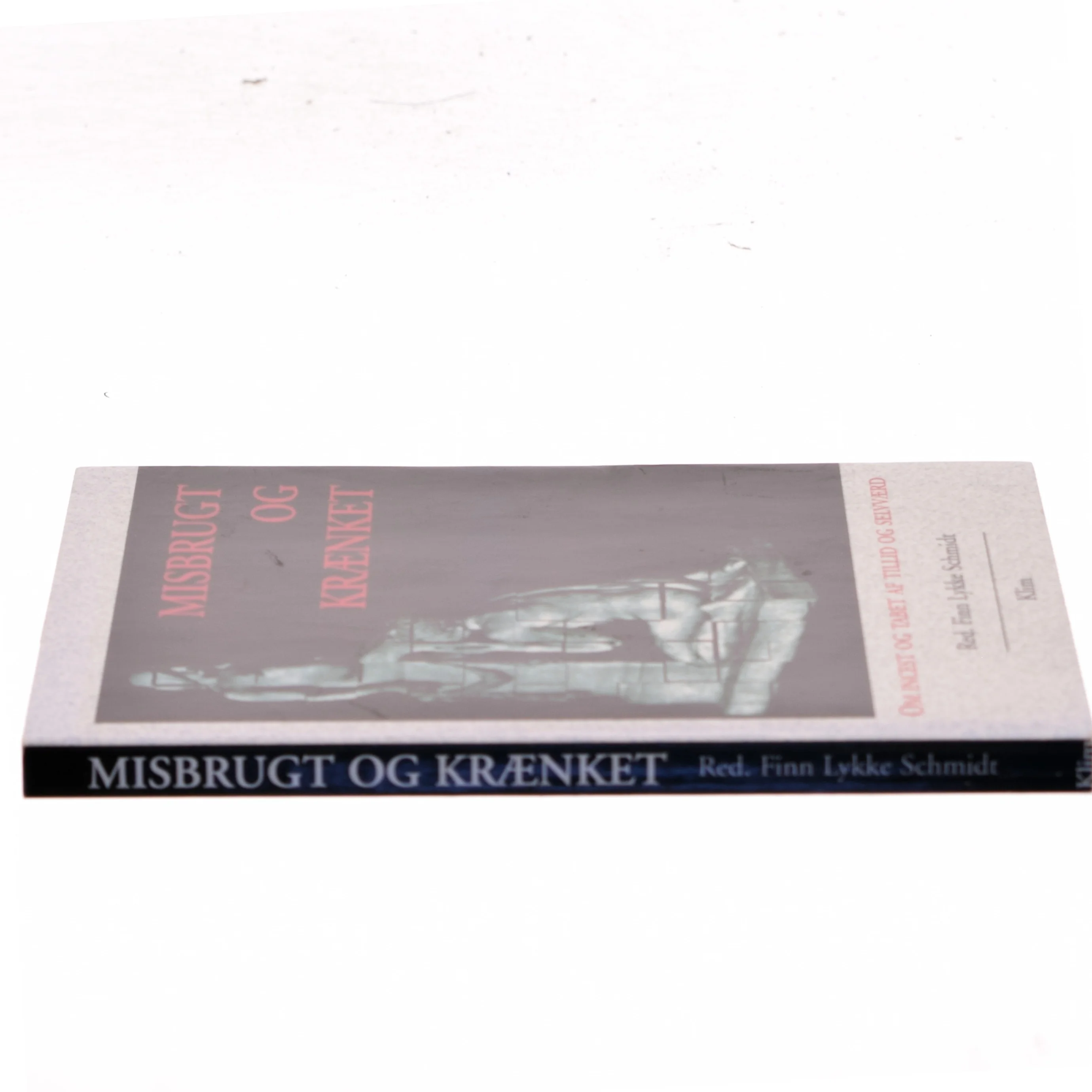 Misbrugt og krænket : om incest og tab af tillid og selvværd af Finn Lykke Schmidt (Bog)