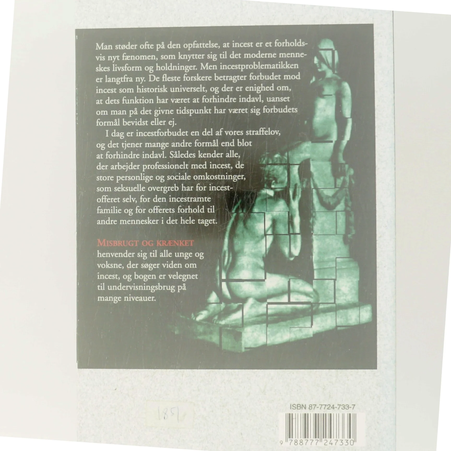 Misbrugt og krænket : om incest og tab af tillid og selvværd af Finn Lykke Schmidt (Bog)