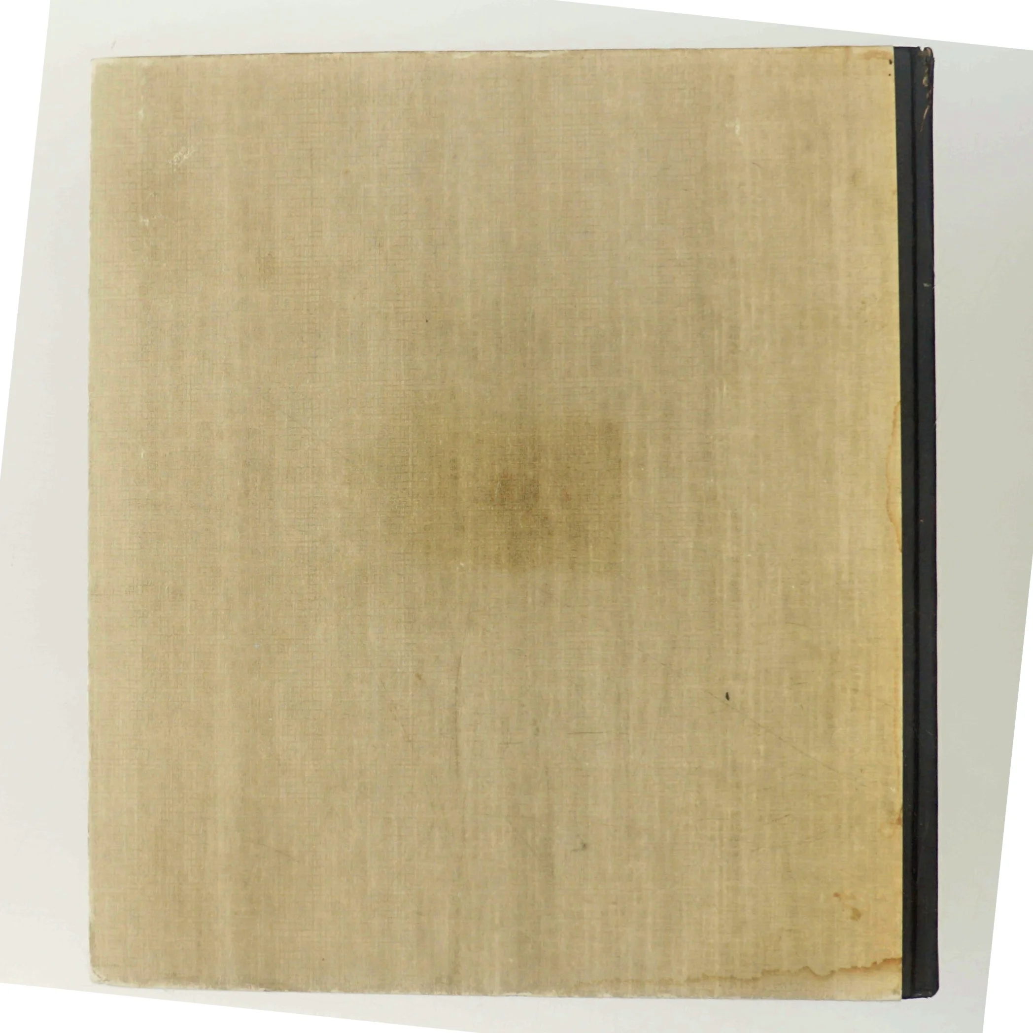 Polen af Dea Trier Mørch (Bog)