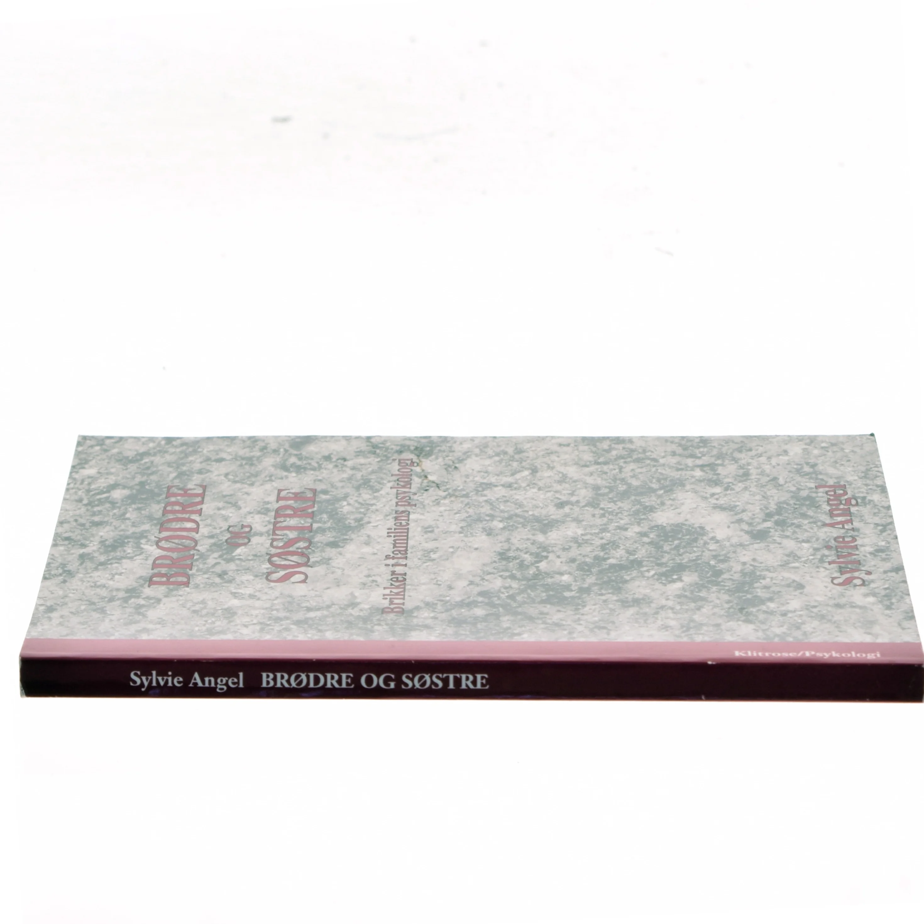 Brødre og søstre af Sylvie Angel (Bog)