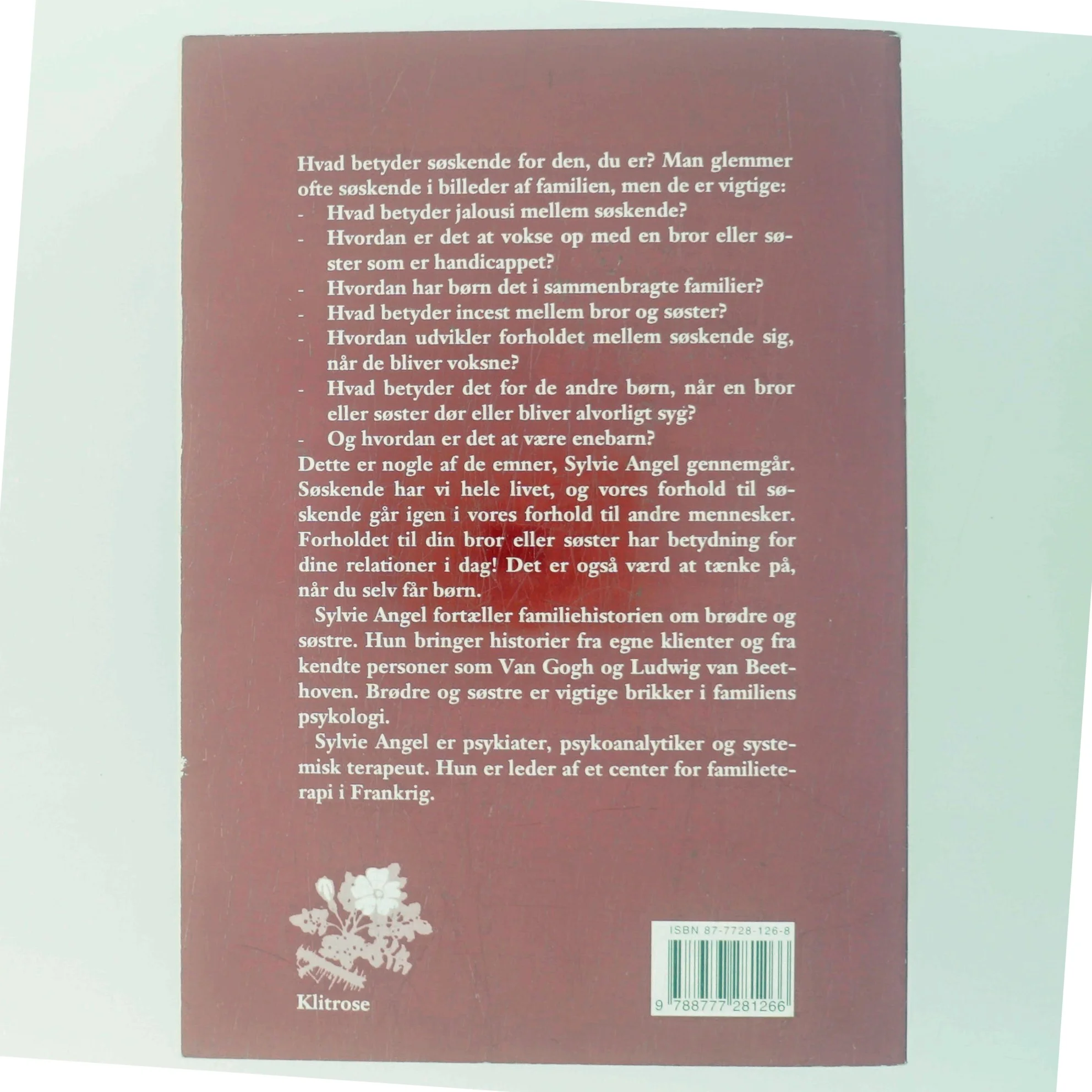 Brødre og søstre af Sylvie Angel (Bog)