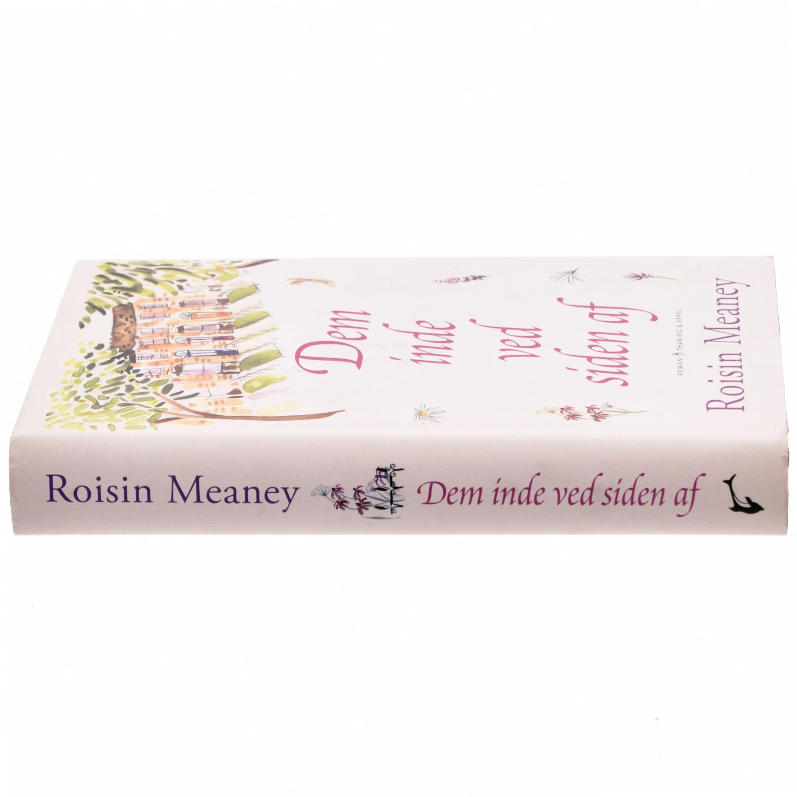 Dem inde ved siden af : roman af Roisin Meaney (Bog)