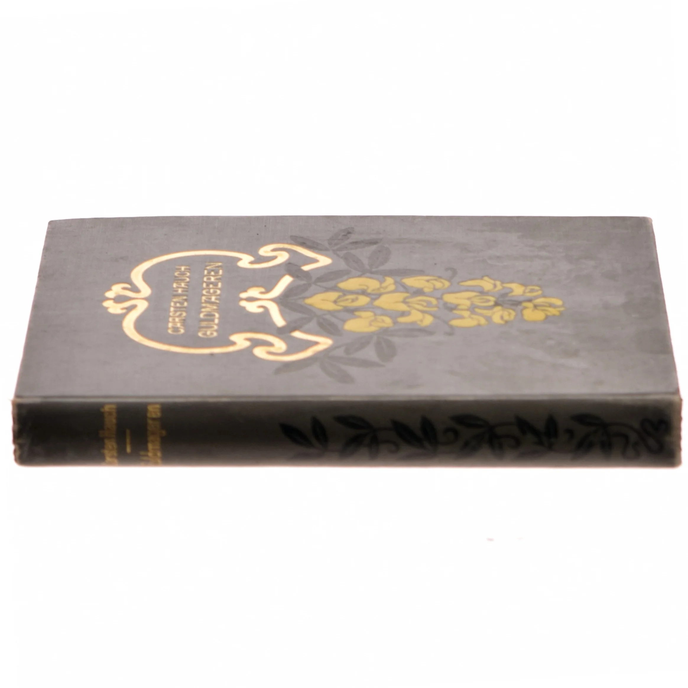 Guldmageren af Carsten Hauch (Bog)