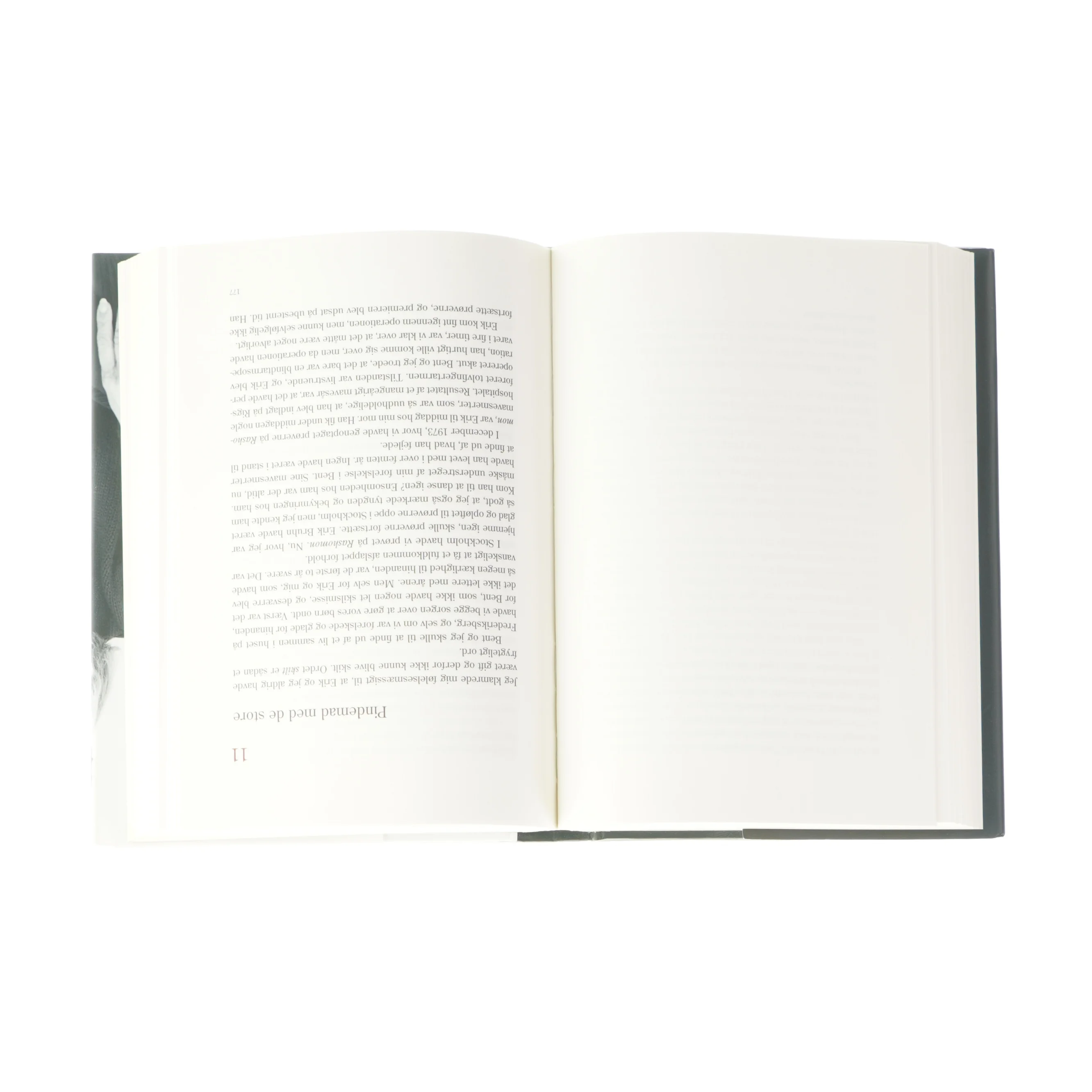 Fremkaldt af Susse Wold (Bog)