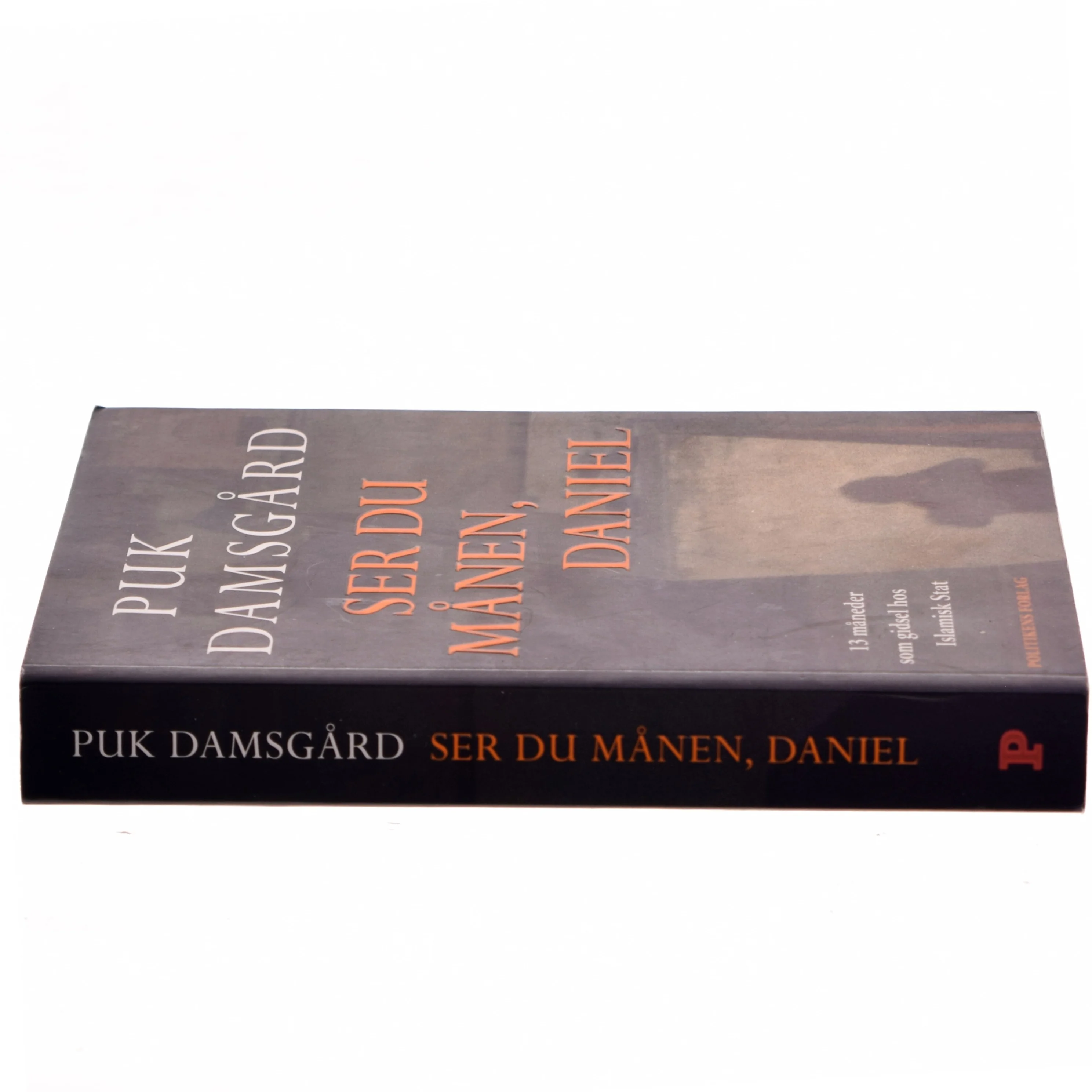 Ser du månen, Daniel af Puk Damsgård (Bog)