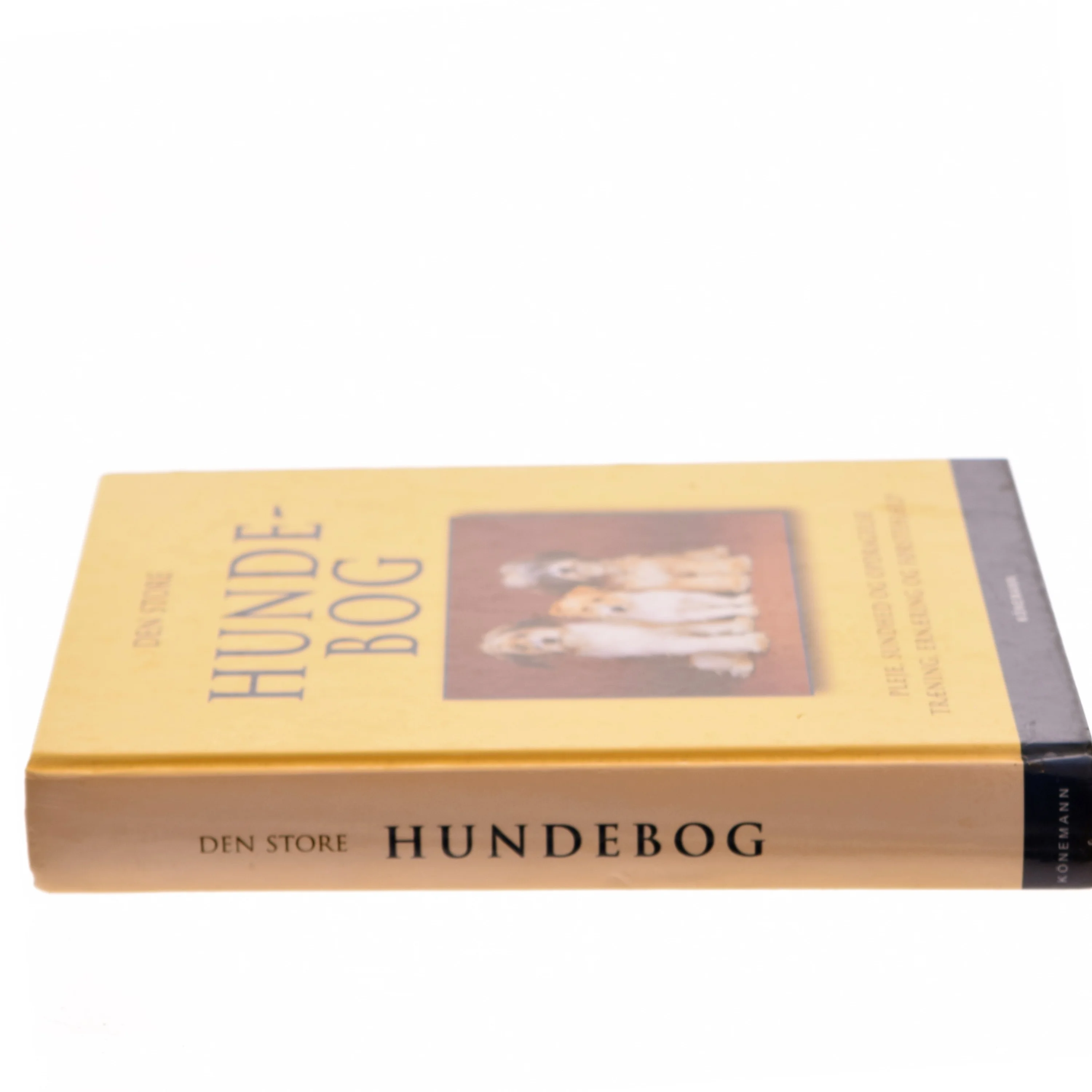 Den store hundebog : pleje, sundhed og opdragelse, træning, ernæring og førstehjælp (Bog)