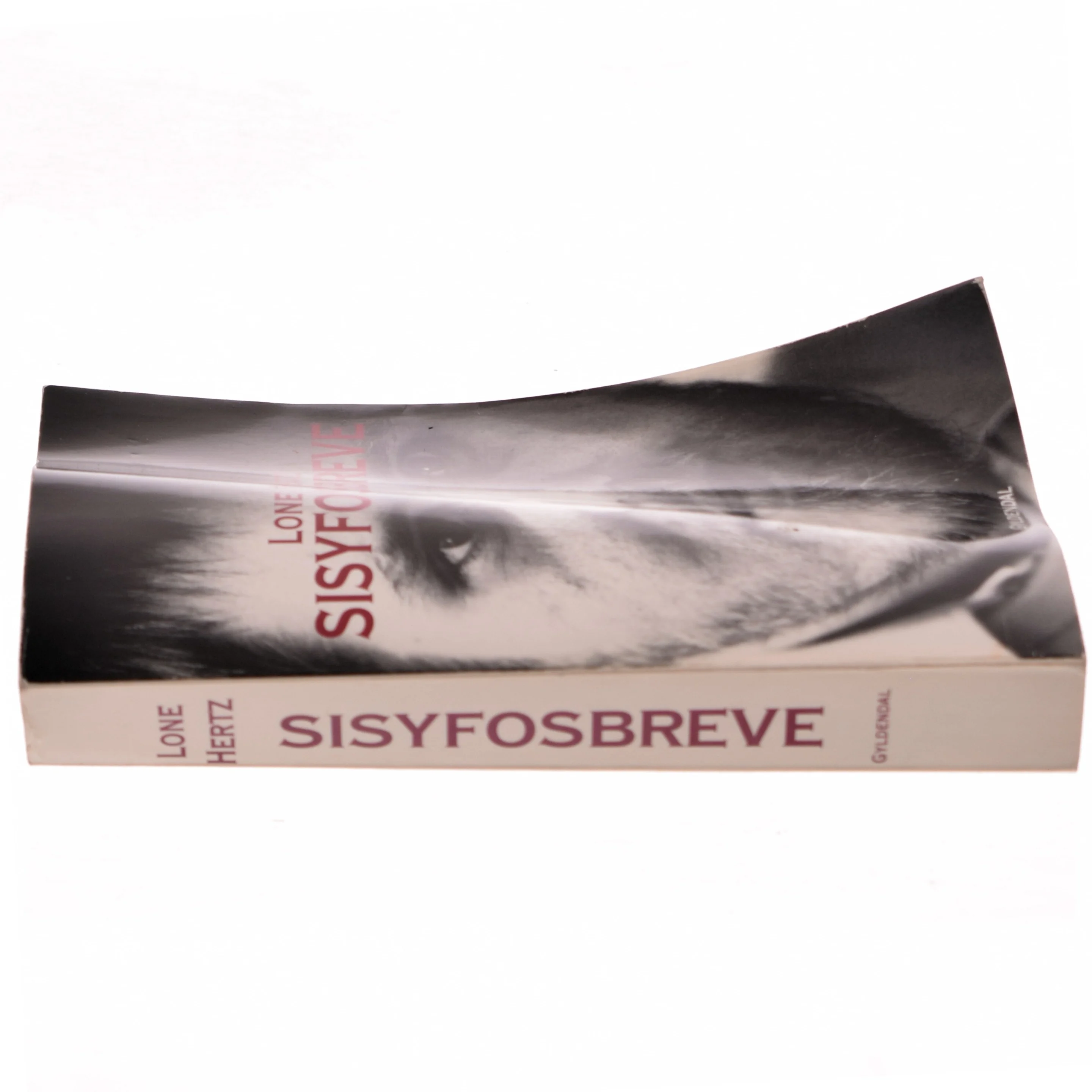 Sisysfosbreve af Lone Hertz (Bog)