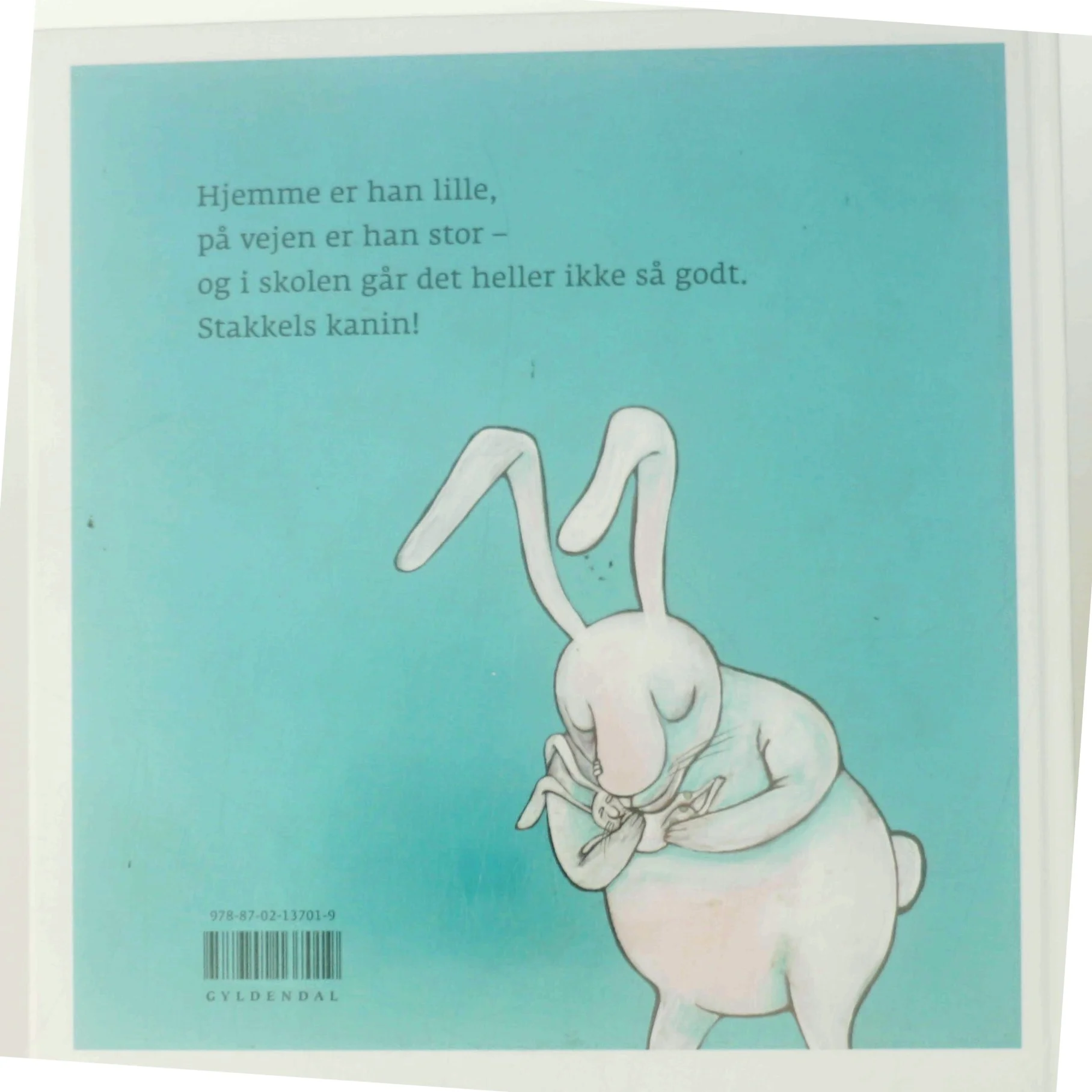 Stakkels kanin af Dorte Karrebæk (Bog)