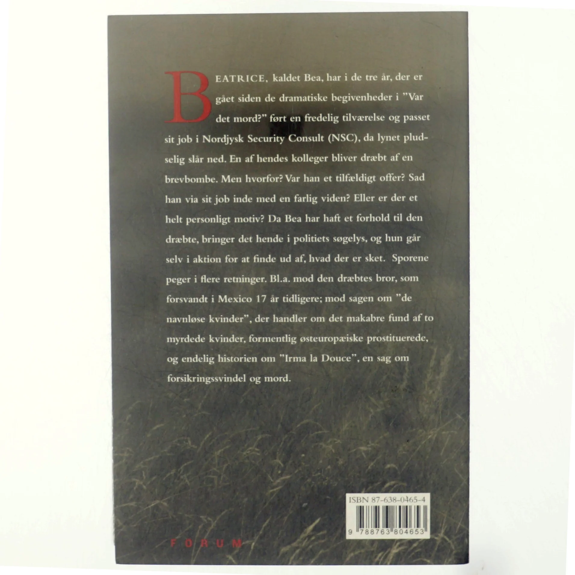 Sin brors vogter : spændingsroman af Kirsten Holst (f. 1936) (Bog)