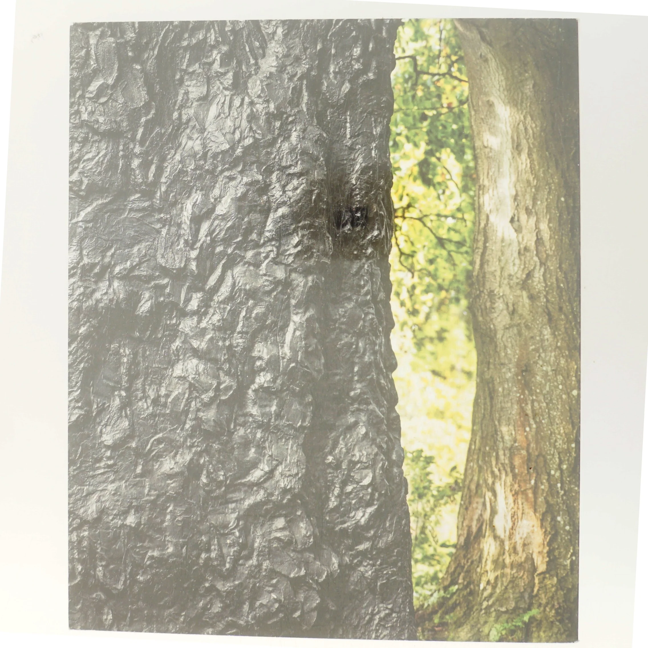 Per Kirkeby Bronze af Per Kirkeby (Bog)