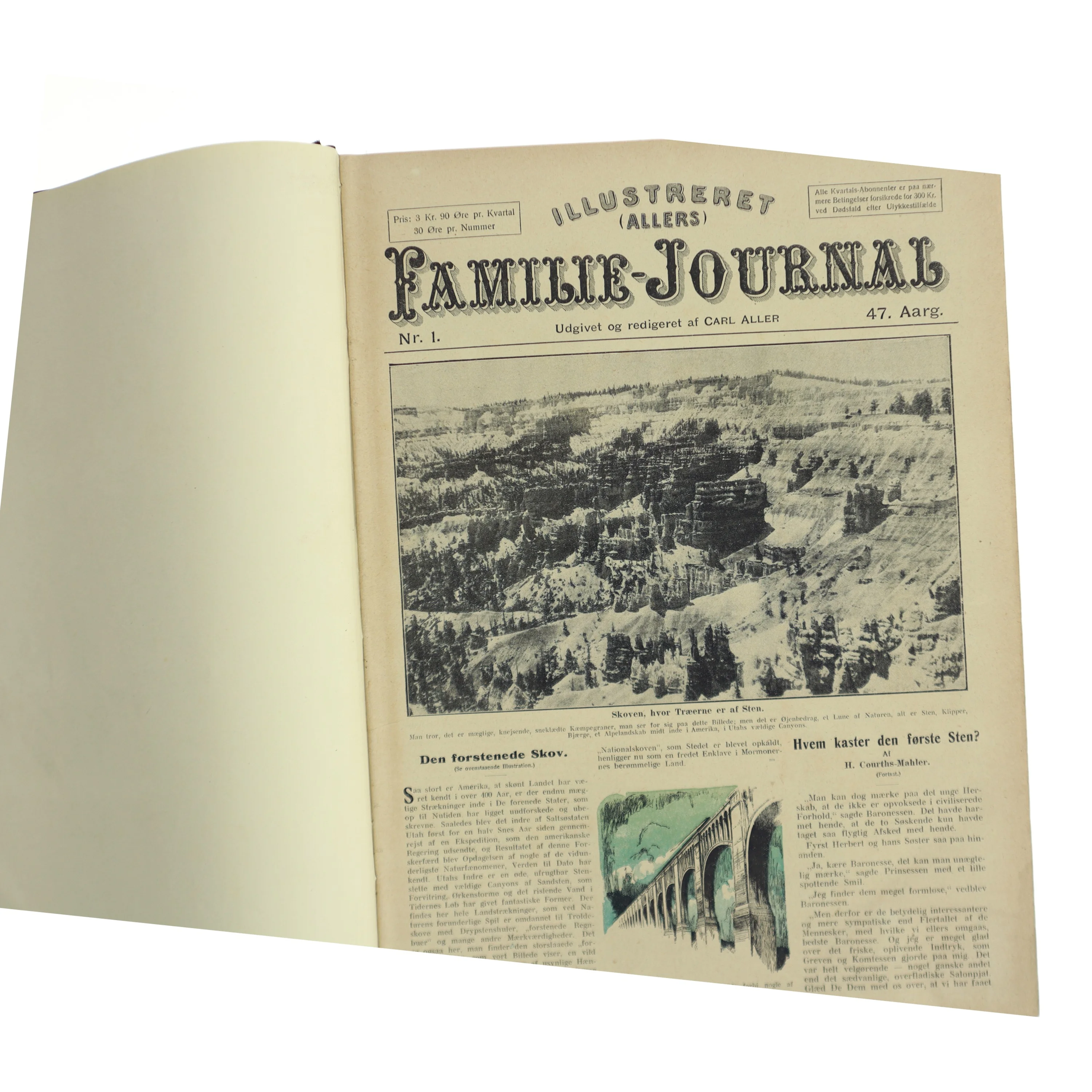 Illustreret Familie-Journal af Carl Aller (Bog)