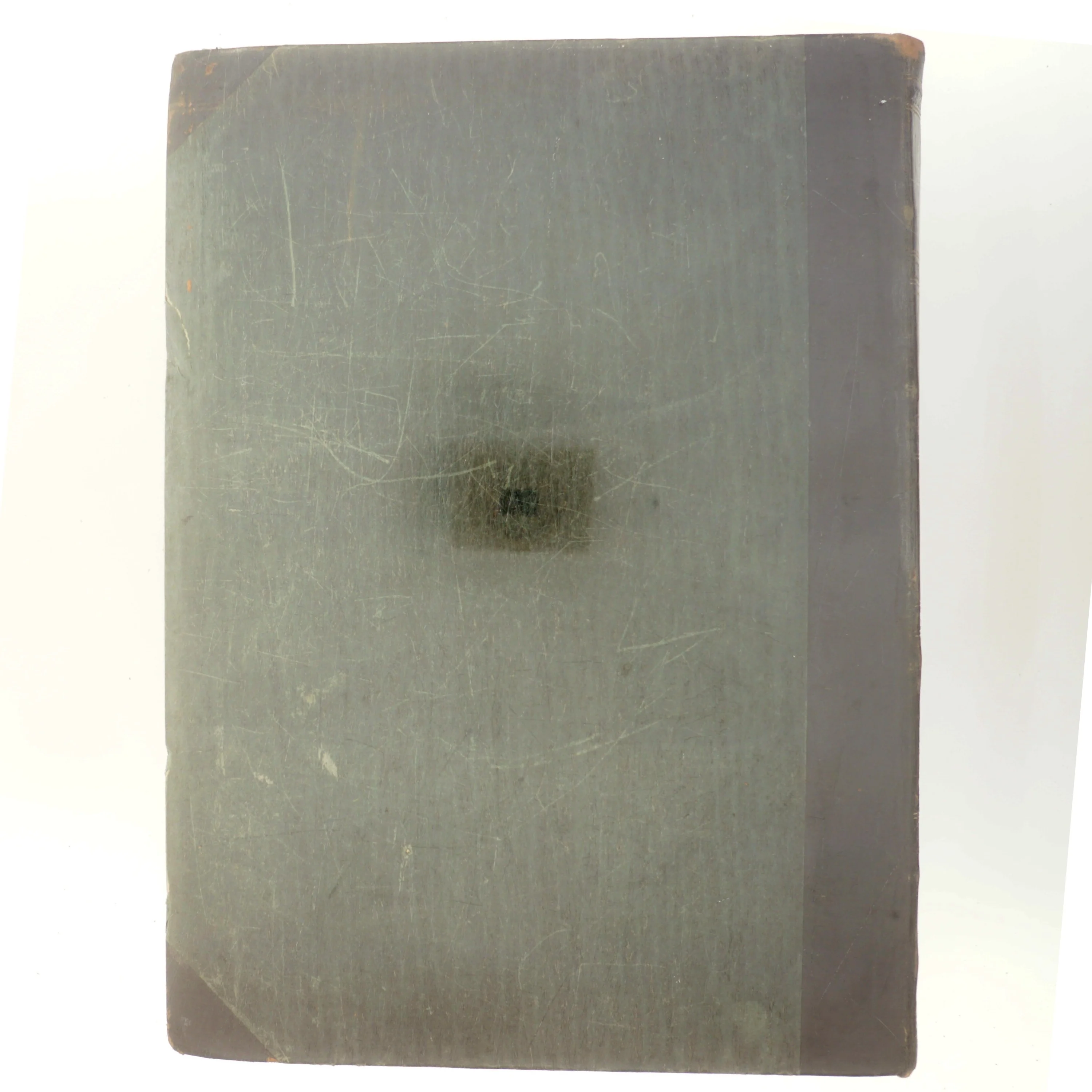 Hjemmet af Alex Raymond (Bog)