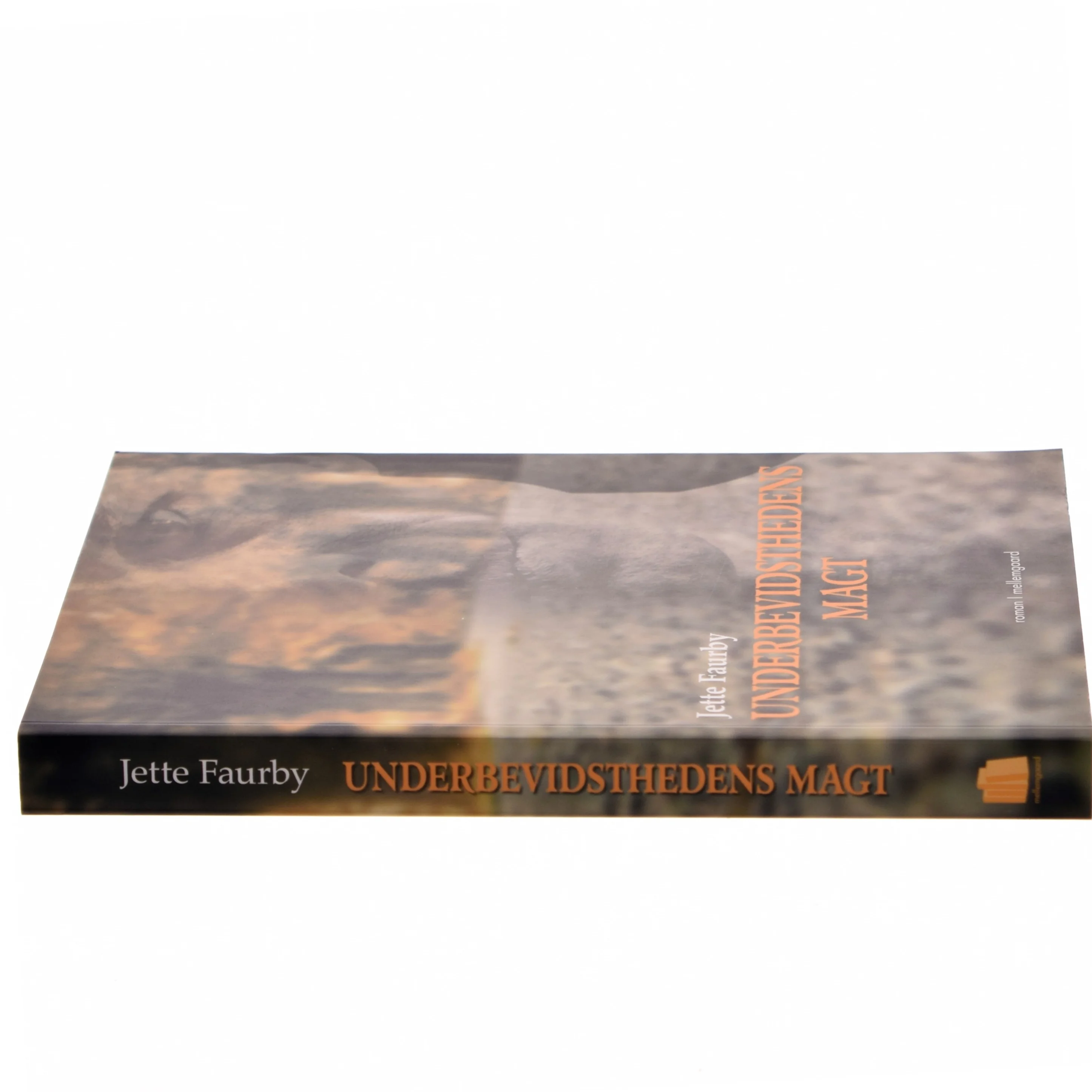 Underbevidsthedens Magt af Jette Faurby (Bog)