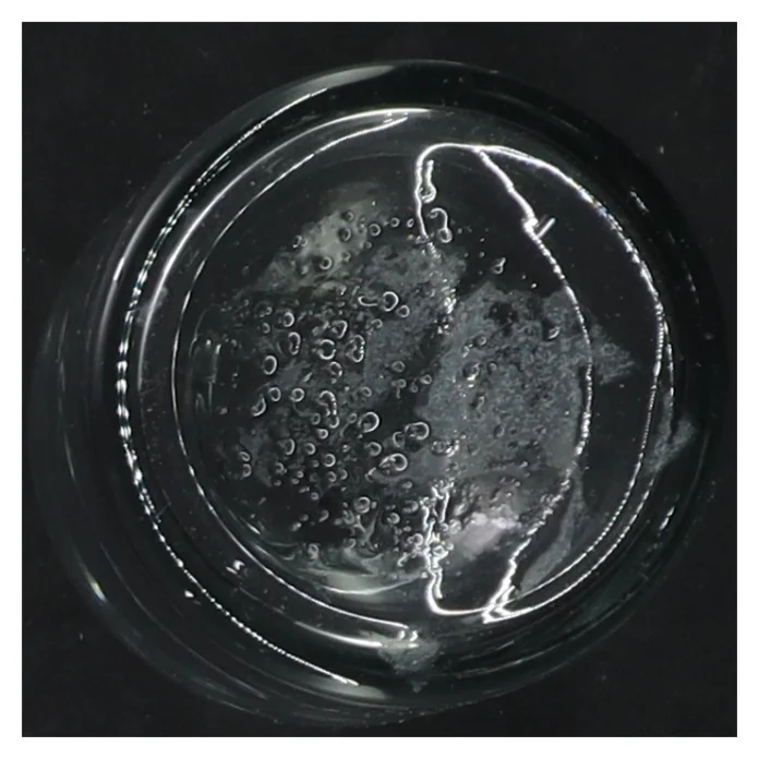 To små glasflasker (str. 11 cm. 2 styk)