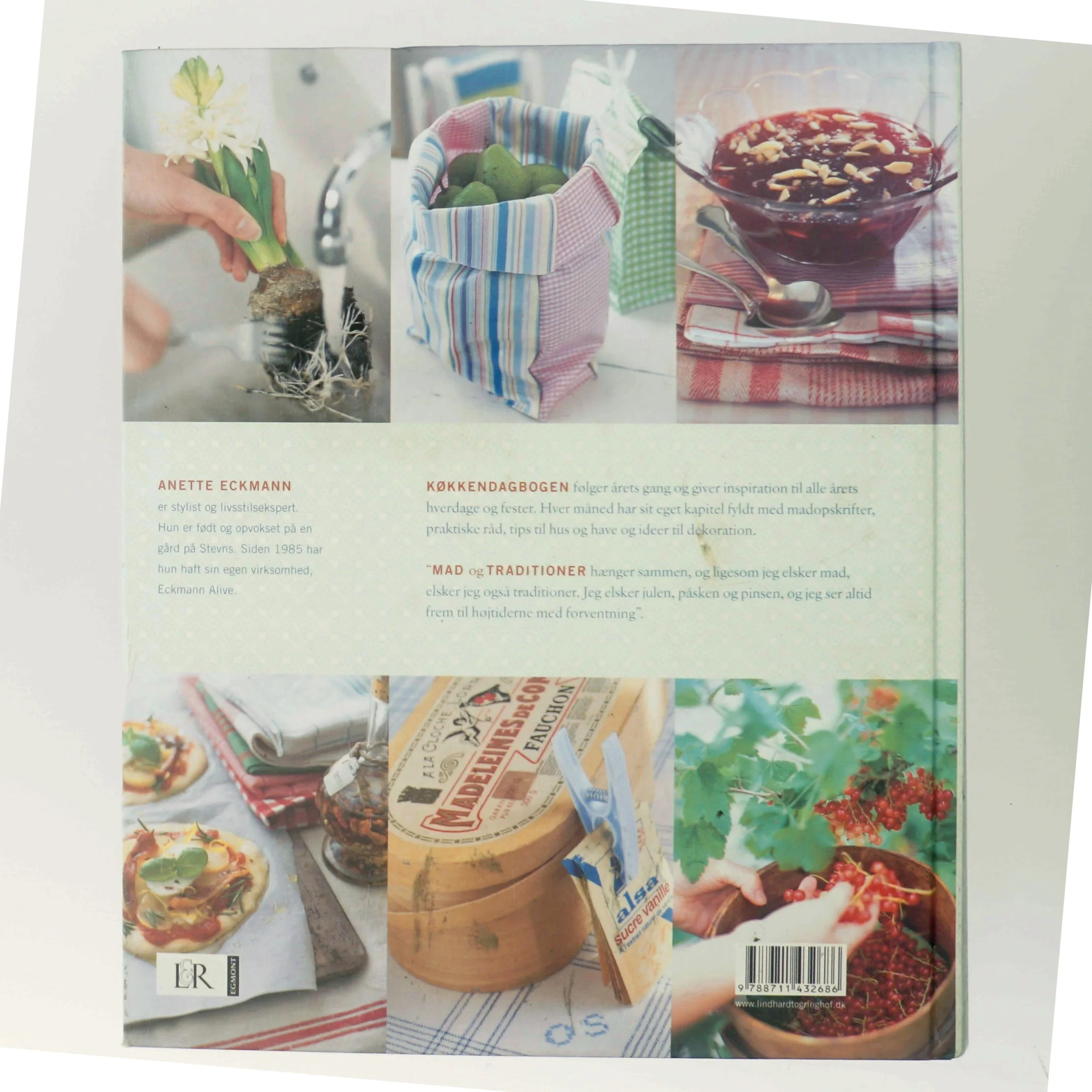 Køkkendagbogen : året rundt med mad og traditioner, tips og dekoration af Anette Eckmann (Bog)