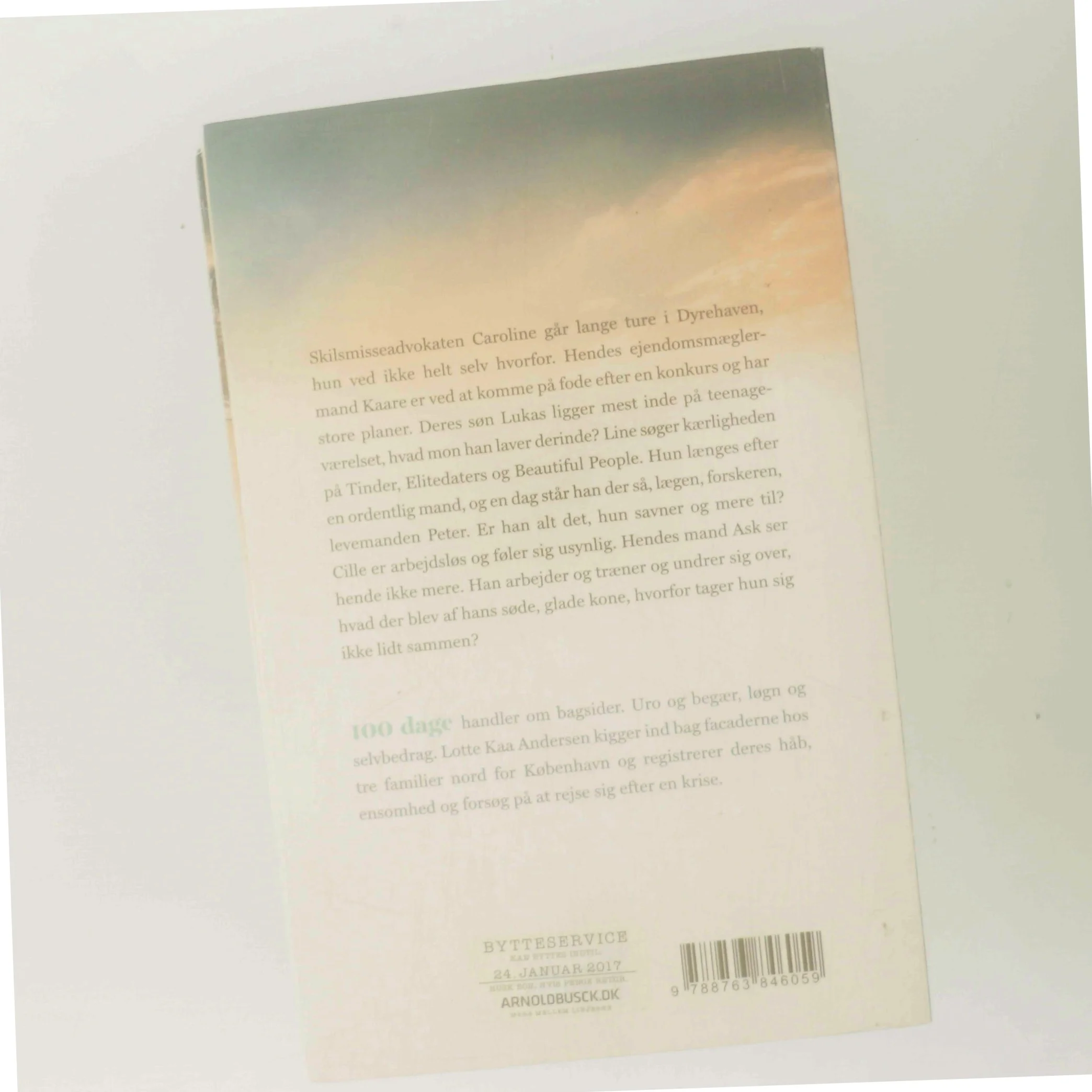 100 dage : roman af Lotte Kaa Andersen (Bog)