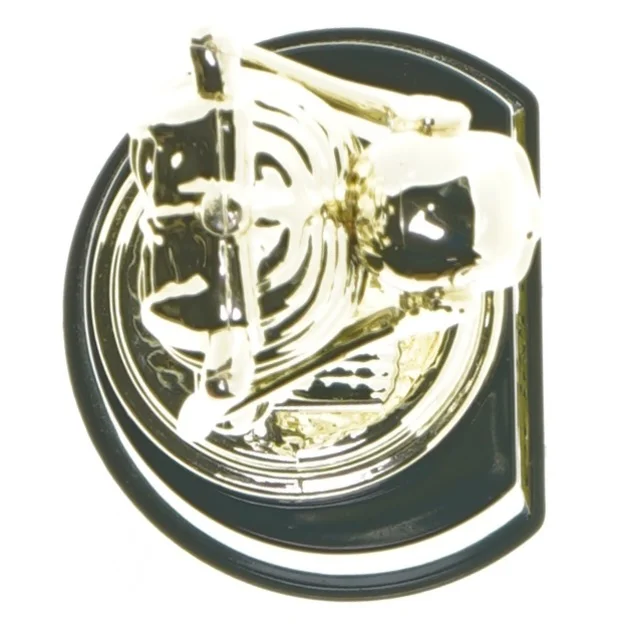 Skelet trofæ (str. 24,5 cm)