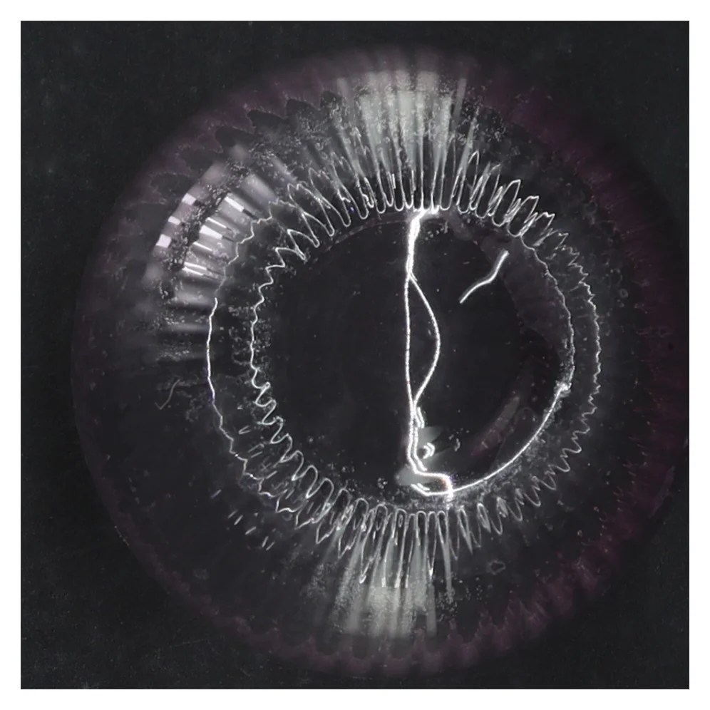 Glasvase med lilla kant (str. H12 cm)