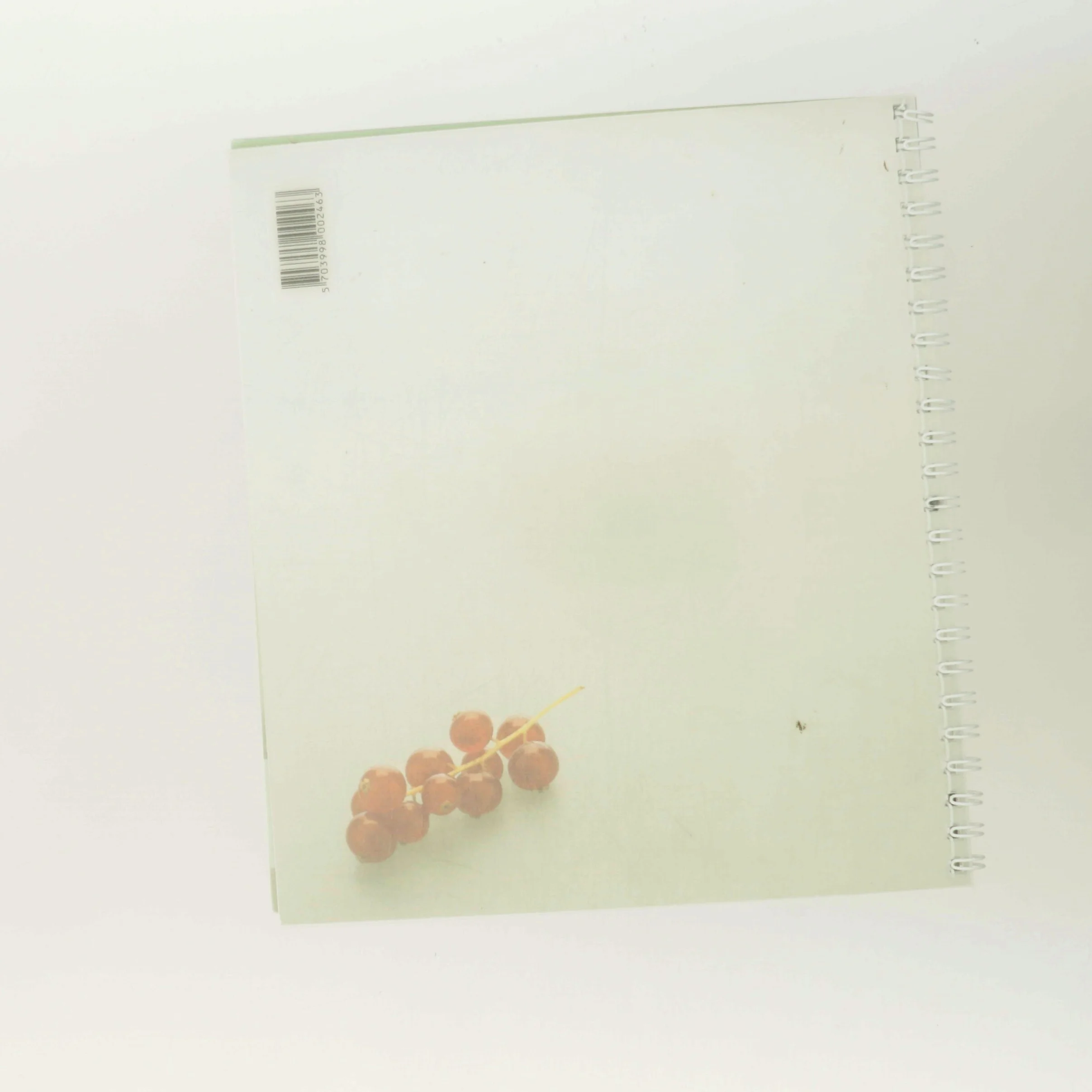 En bid af Danmark (Bog)