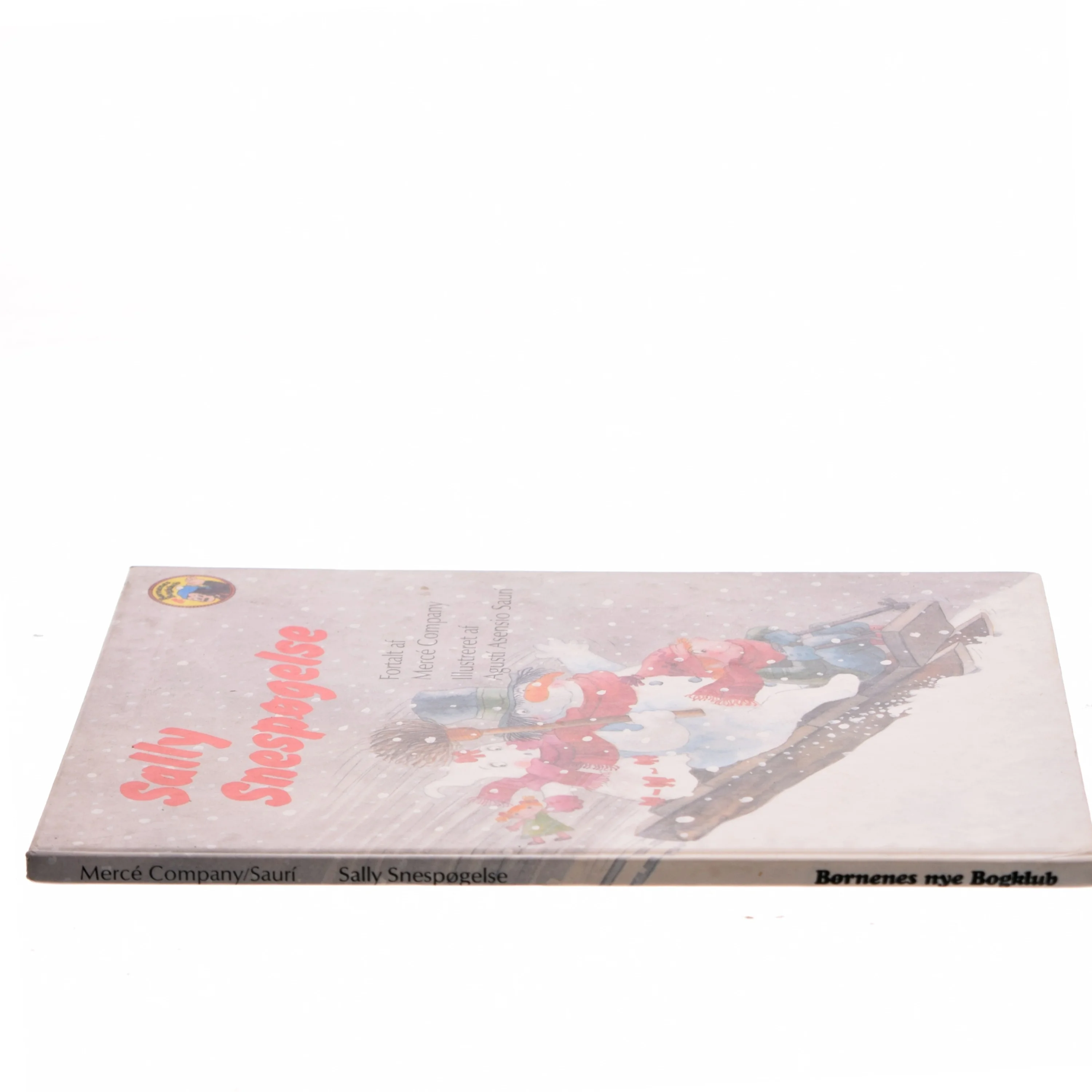 Sally Snespøgelse af Mercé Company (Bog)