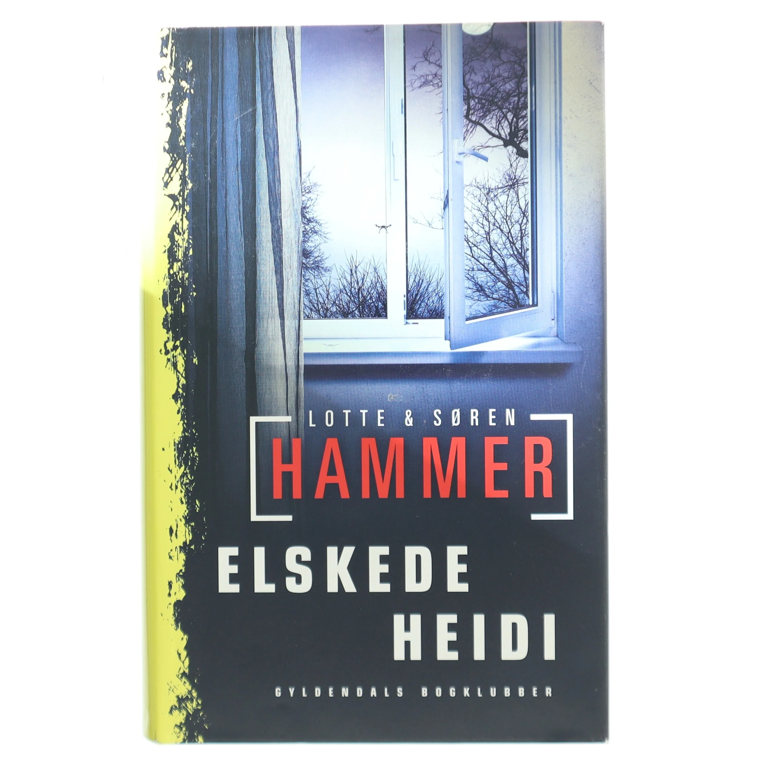 Elskede Heidi : kriminalroman af Lotte Hammer (Bog)