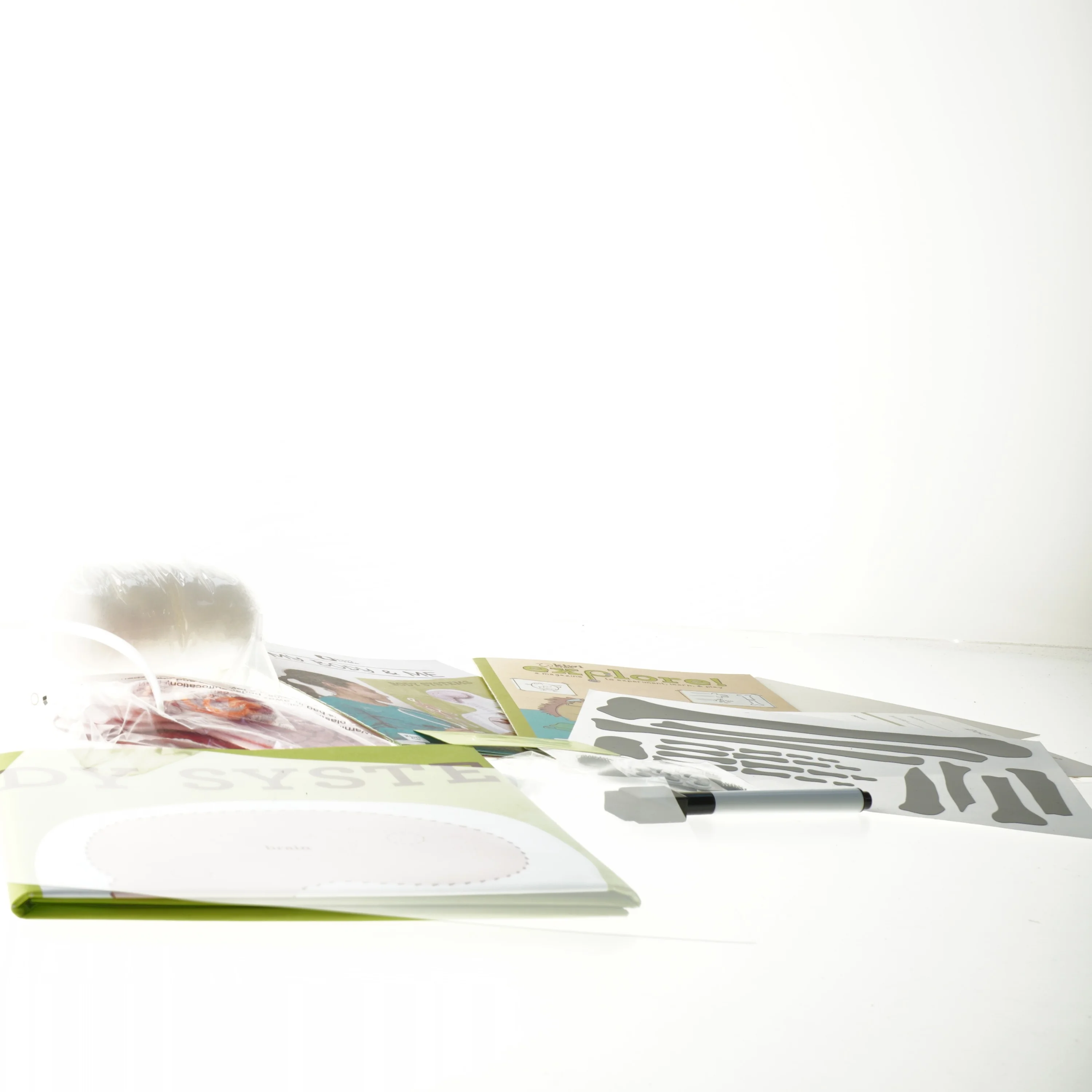 Anatomisk læringssæt for børn fra My Body & Me