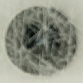 Kongehuset under besættelsen : i mørke og håb af Michael Müller (f. 1985) (Bog)