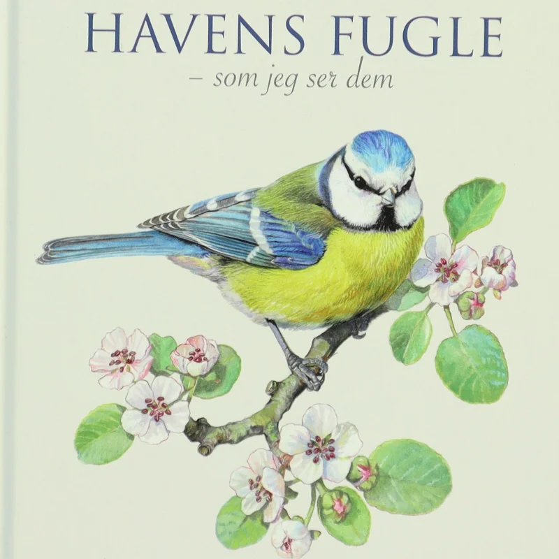 Havens fugle - som jeg ser dem af Carl Christian Tofte (Bog)