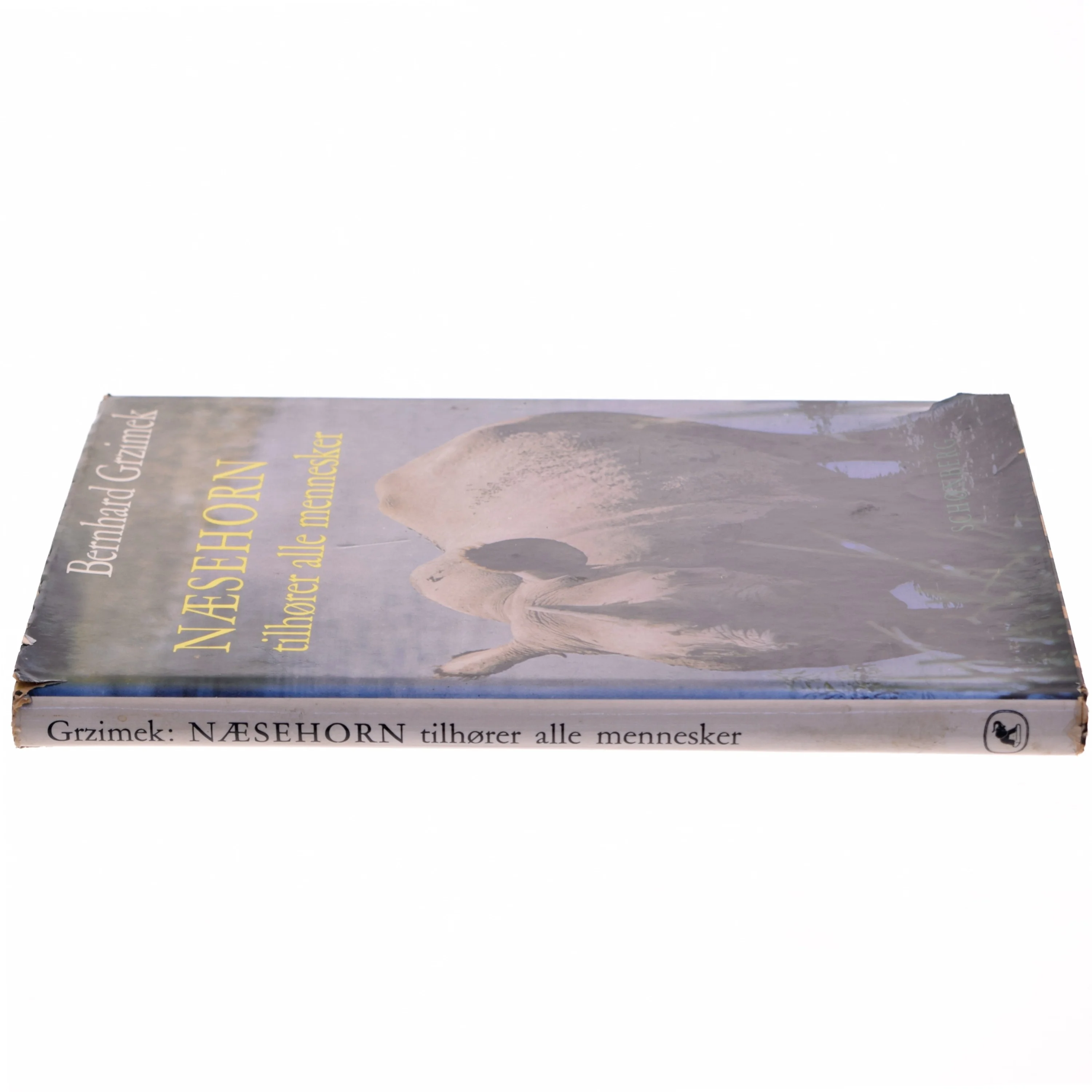 Næsehorn tilhører alle mennesker