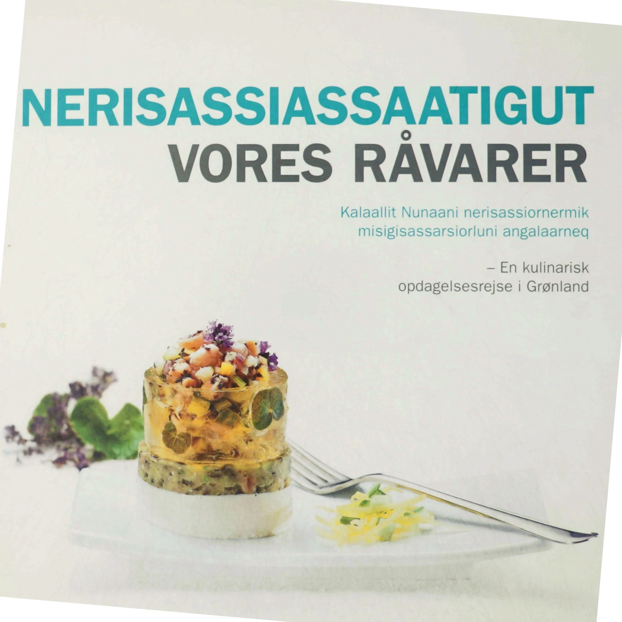 Nerisassiassaatigut (Bog)