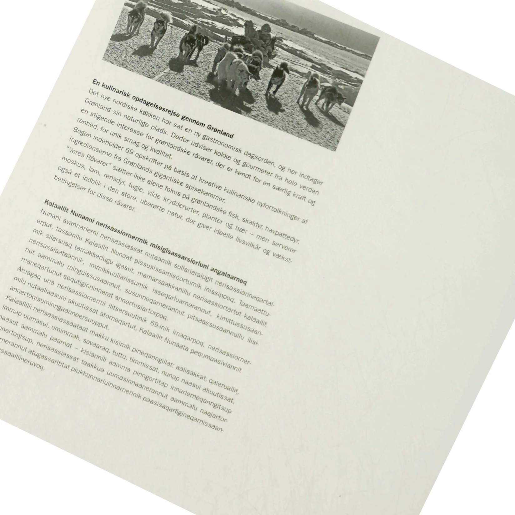 Nerisassiassaatigut (Bog)