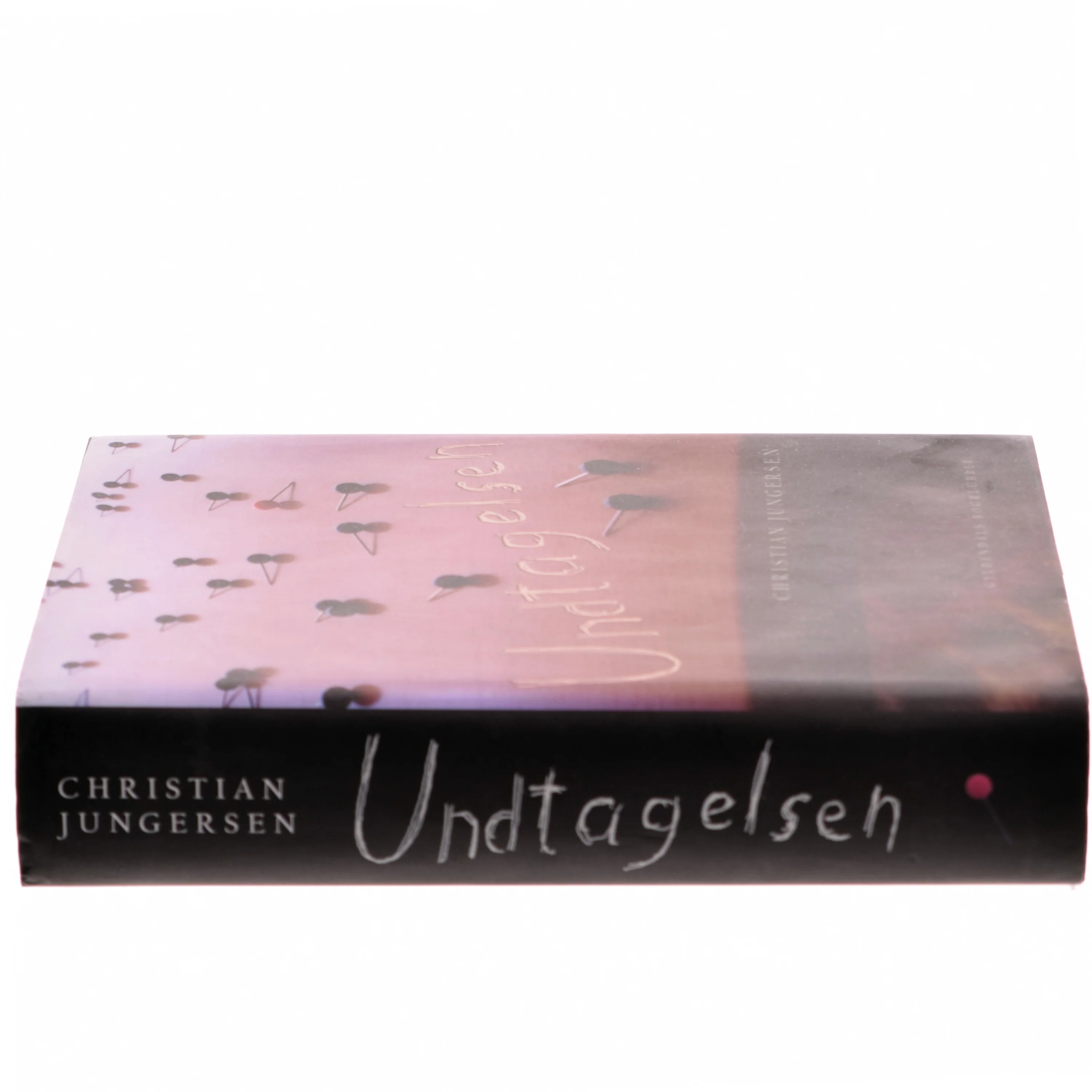 Undtagelsen : roman af Christian Jungersen (Bog)