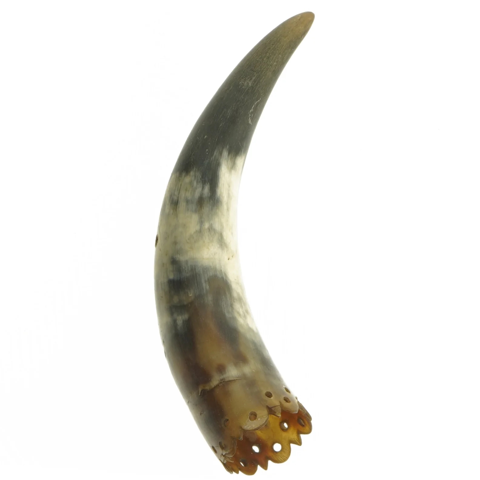 Dekorativ horn (str. 20 cm)