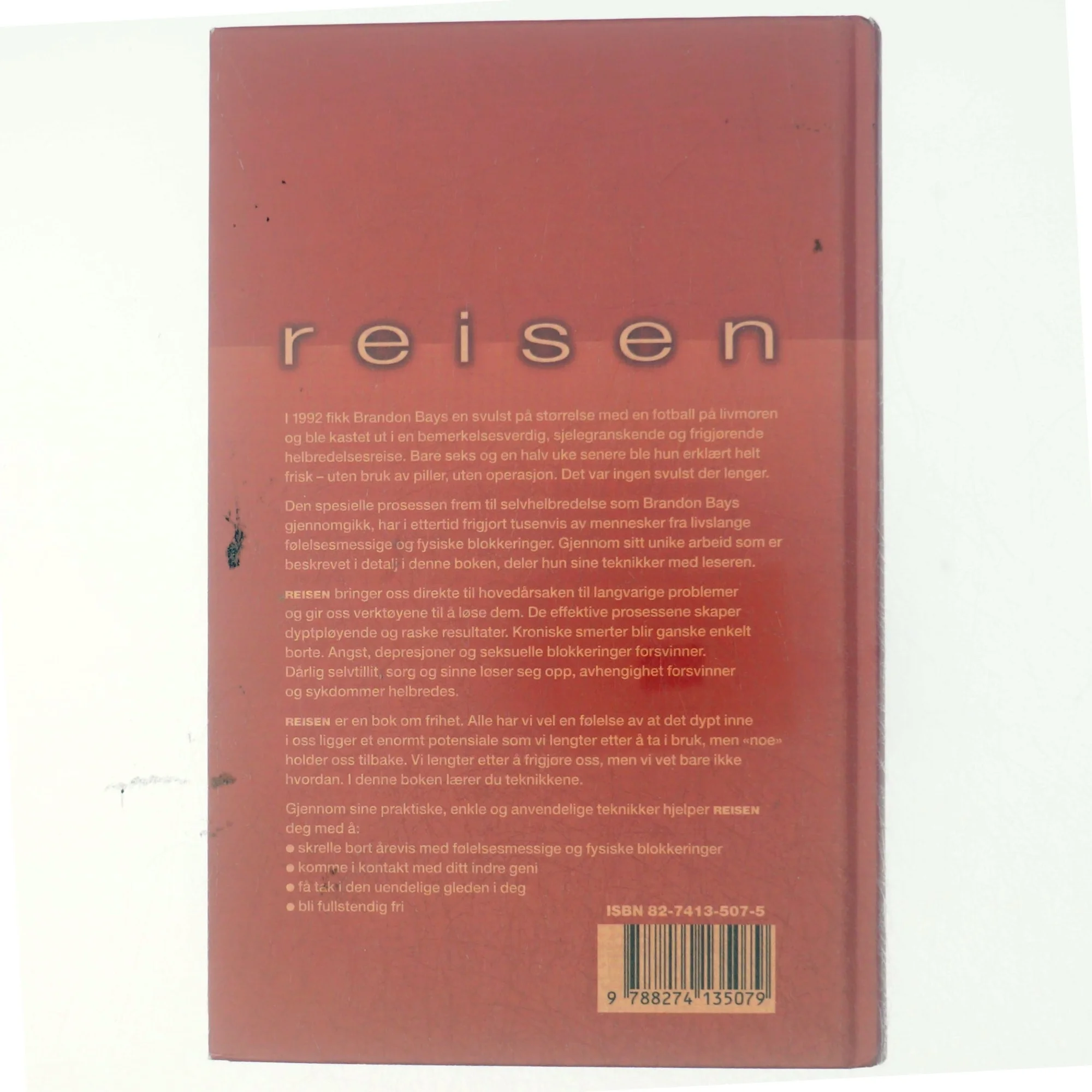 Reisen af Brandon Bays (Bog) Norsk