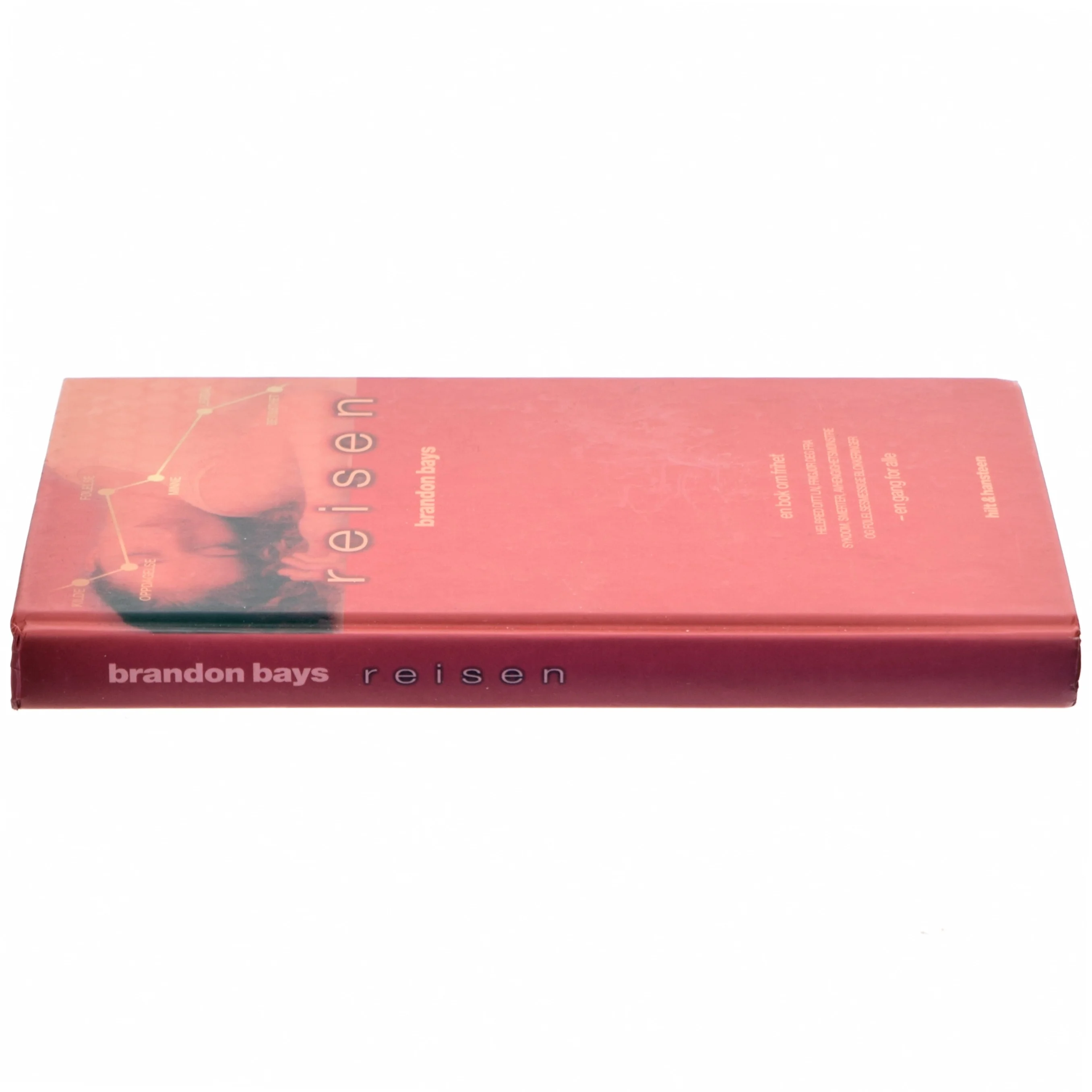 Reisen af Brandon Bays (Bog) Norsk