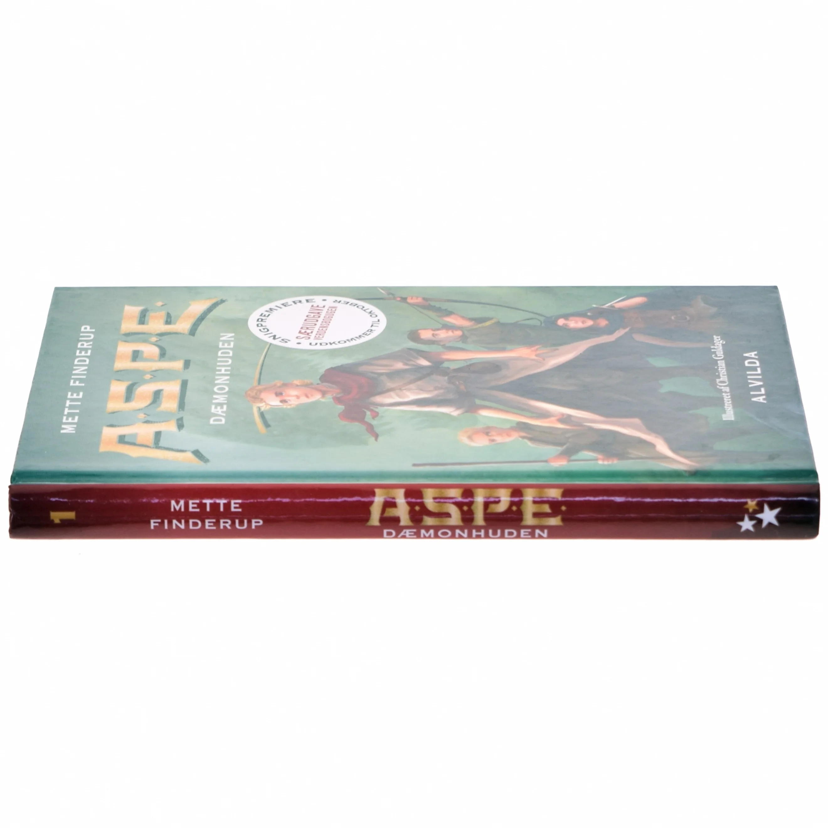 Dæmonhuden af Mette Finderup (Bog)