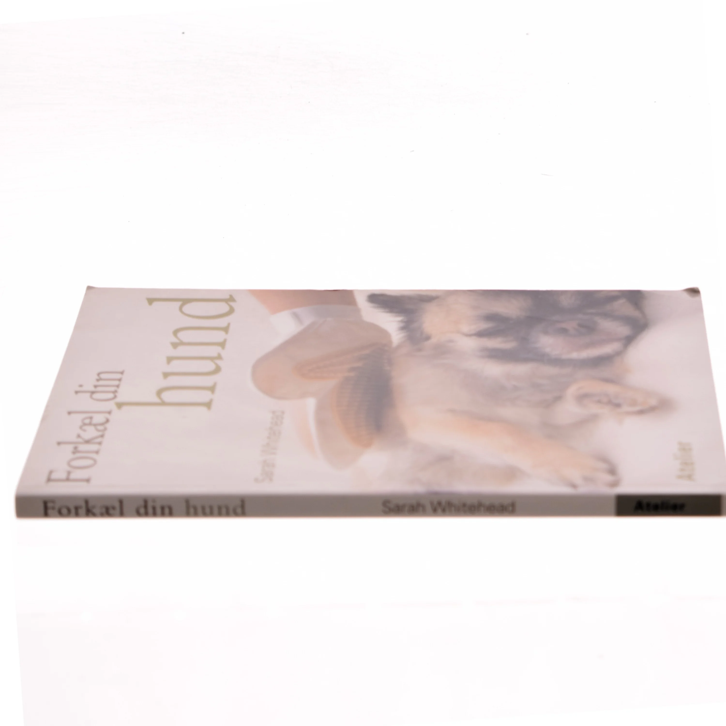 Forkæl din hund af Sarah Whitehead (Bog)