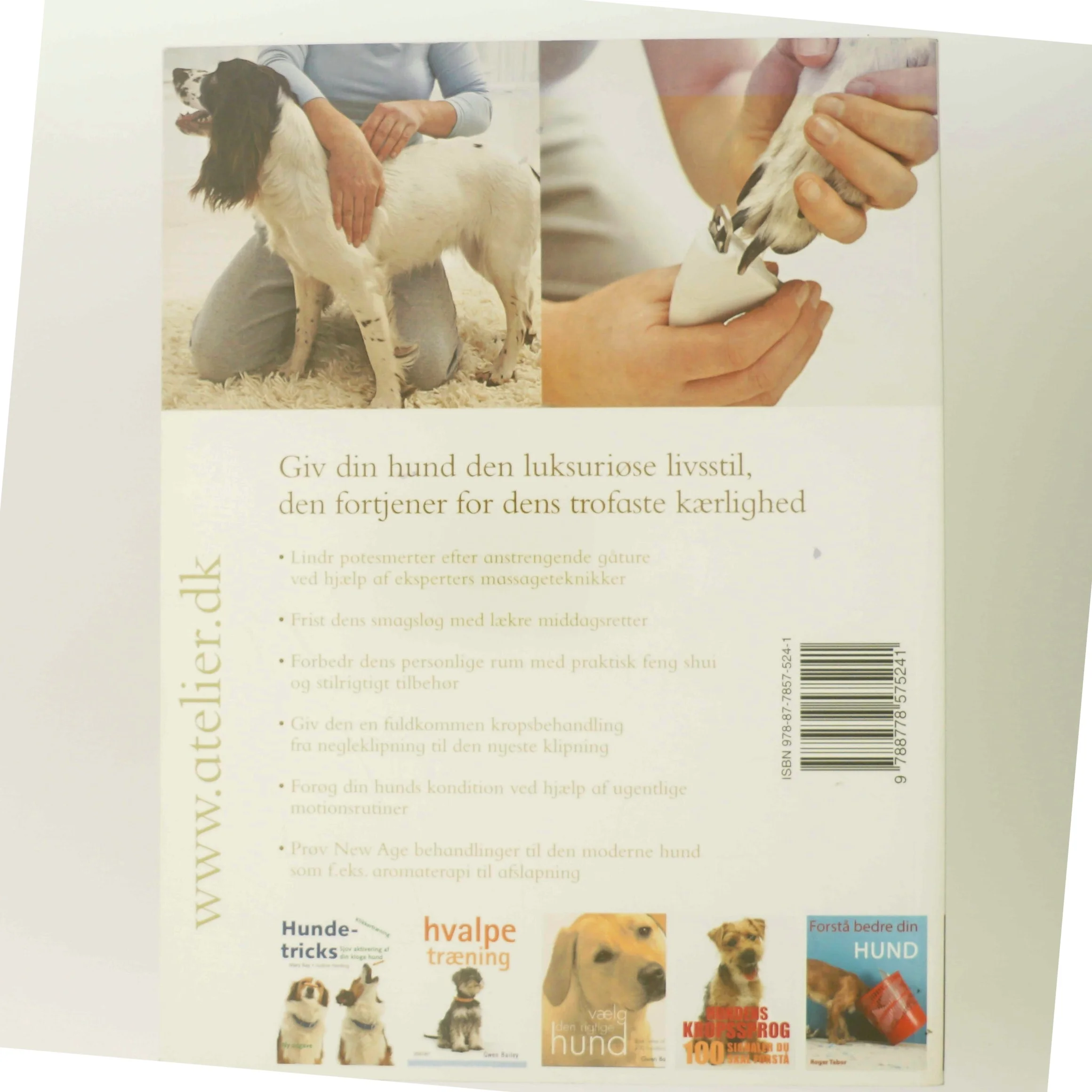 Forkæl din hund af Sarah Whitehead (Bog)