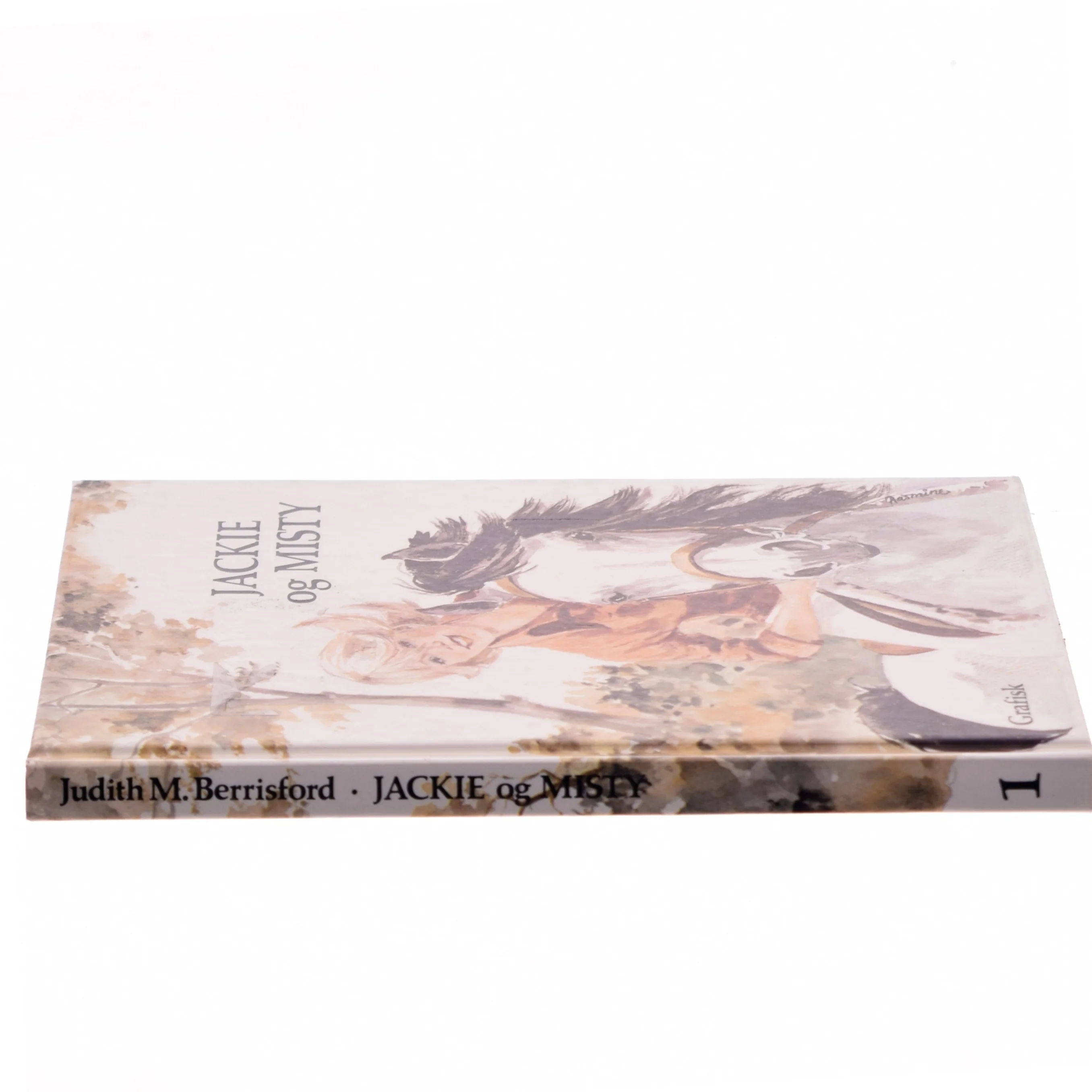 Jackie og Misty af Judith Mary Berrisford (Bog)
