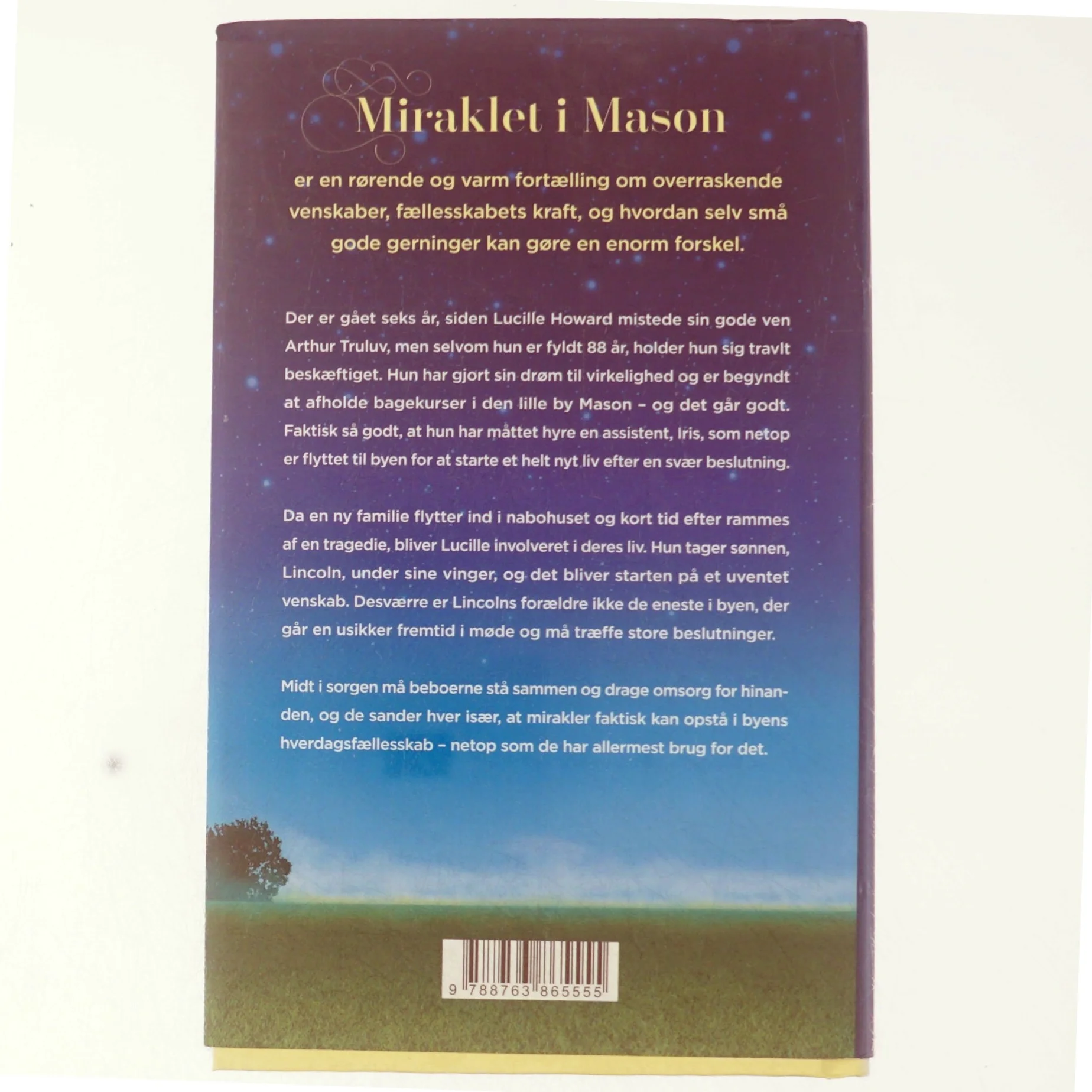 Miraklet i Mason af Elizabeth Berg (f. 1948) (Bog)