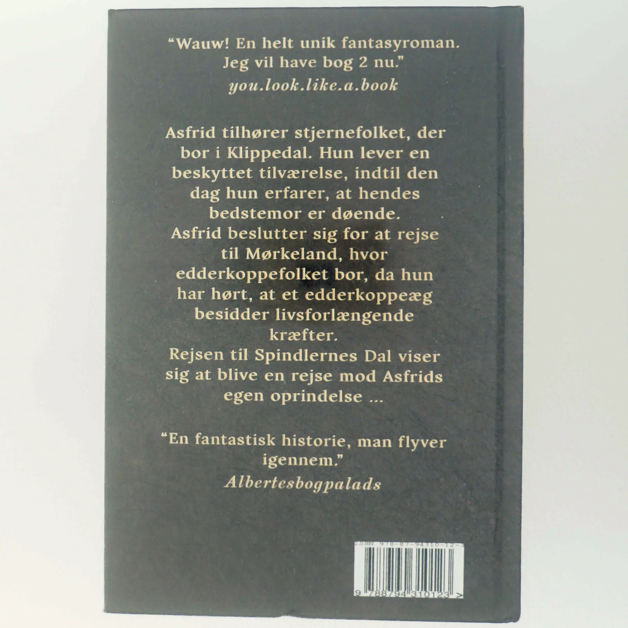 Asfrid - Spindlernes Dal af Laura Helena Pimentel da Silva (f. 1994) (Bog)