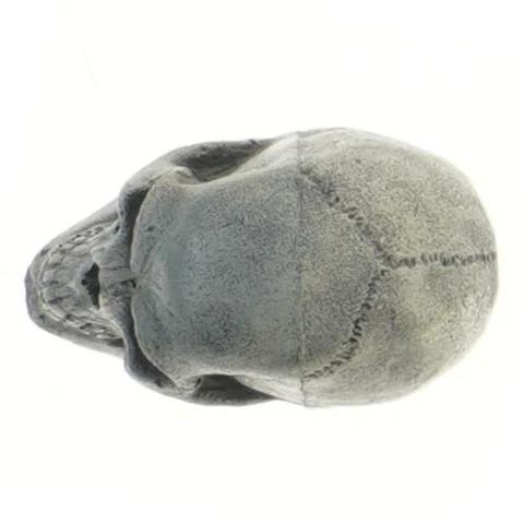 Dekorativ kranie figur (str. 10 cm)