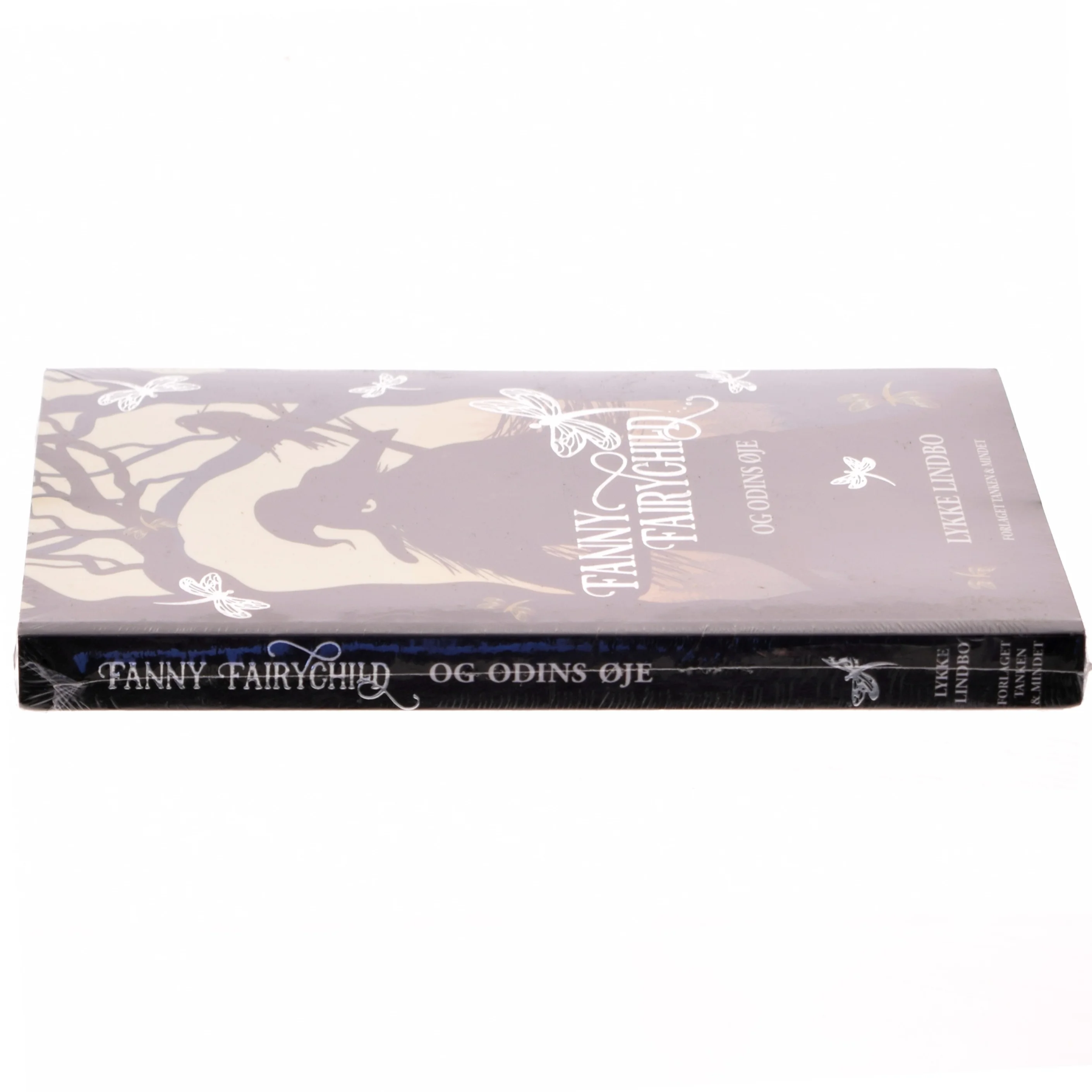 Fanny Fairychild og Odins øje af Lykke Lindbo (f. 1969) (Bog)